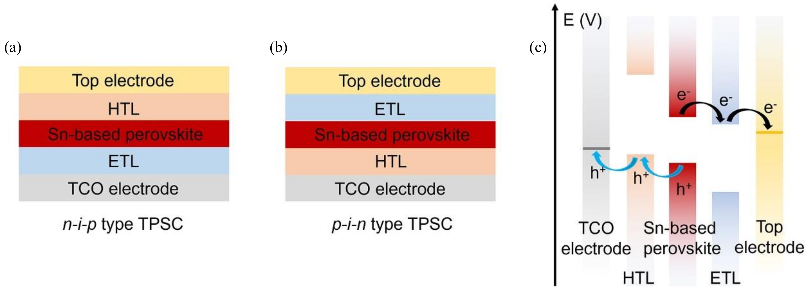 Polymers 16 03053 g003