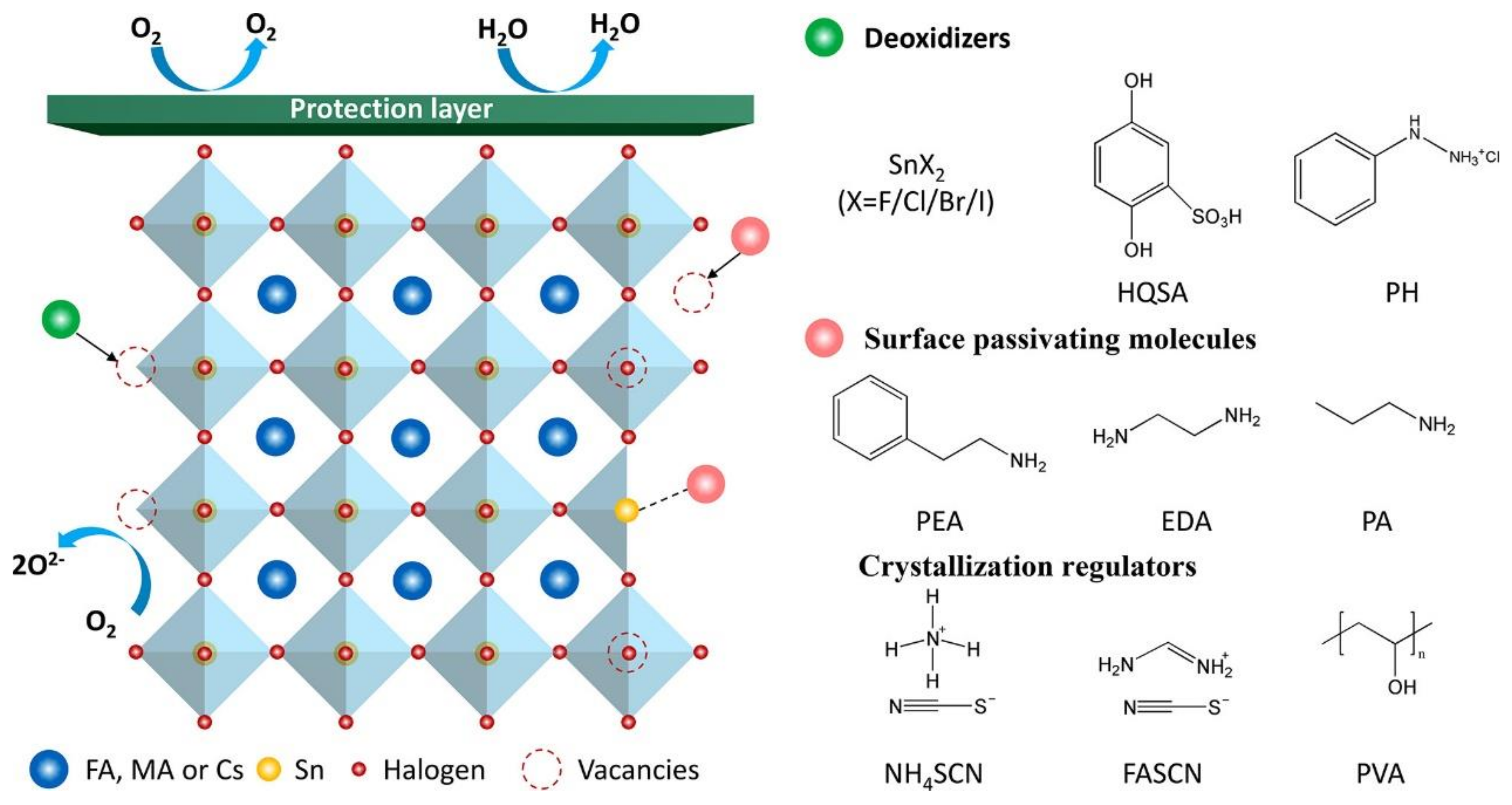 Polymers 16 03053 g008