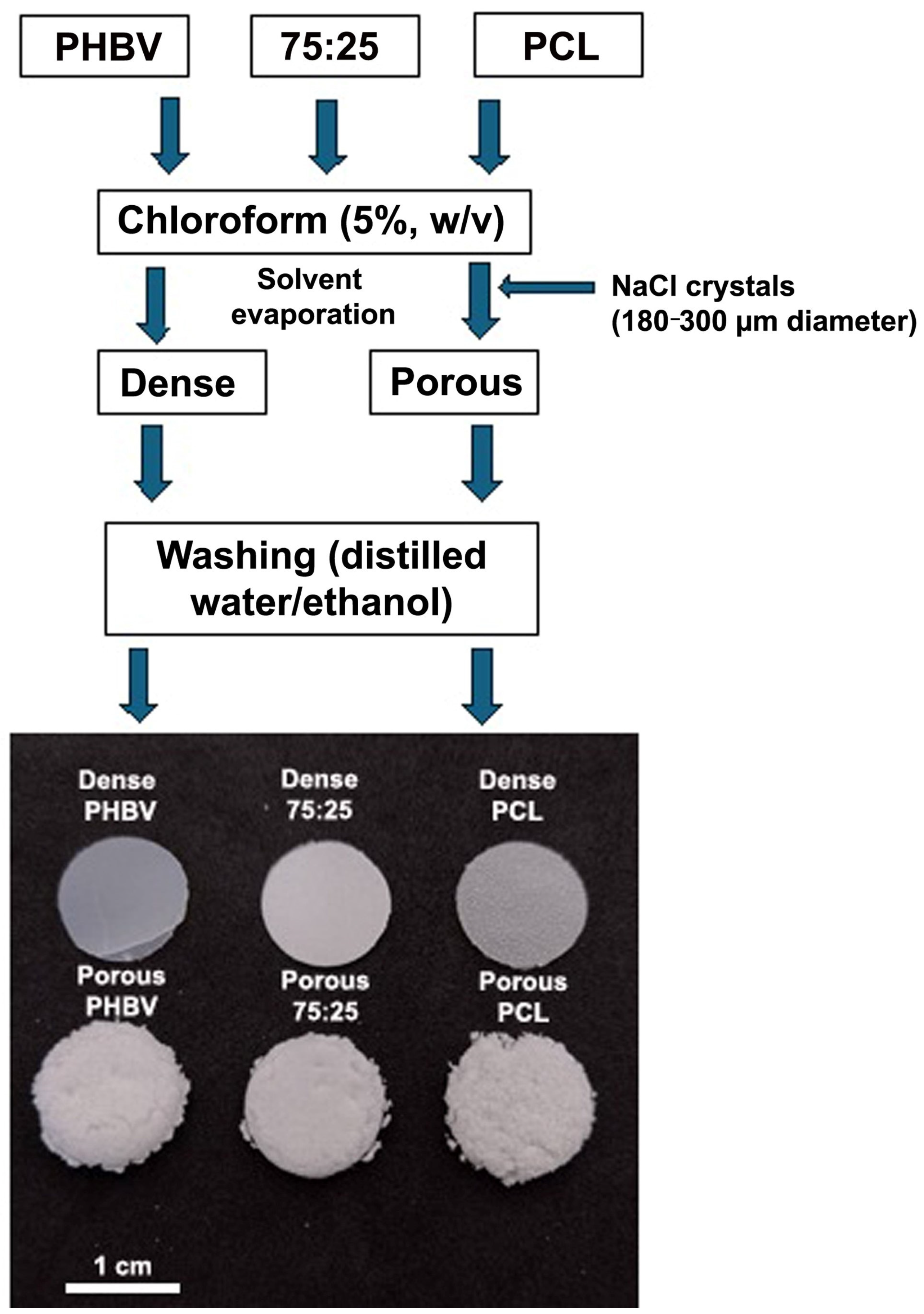 Polymers 16 03054 g001