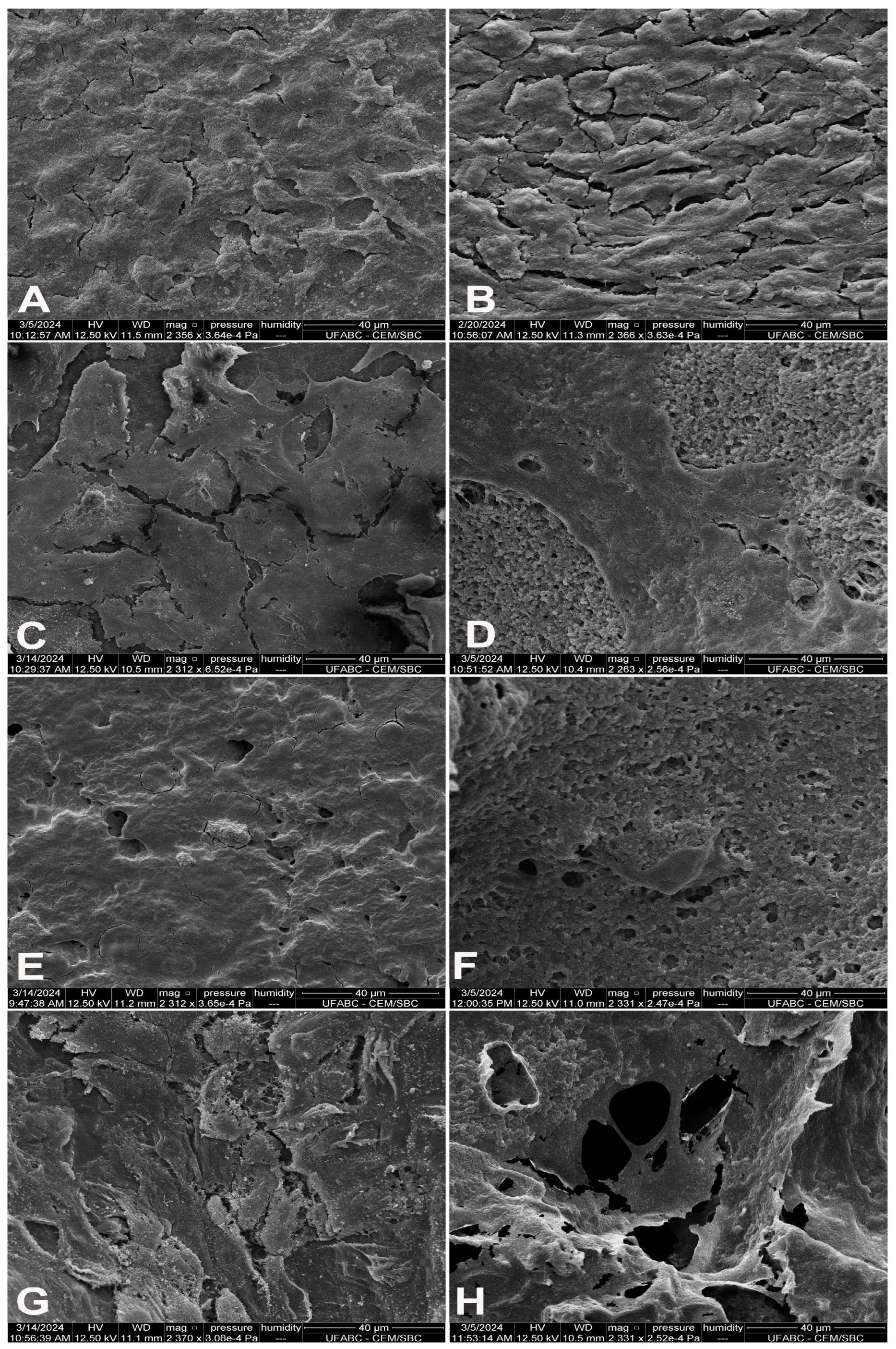 Polymers 16 03054 g008