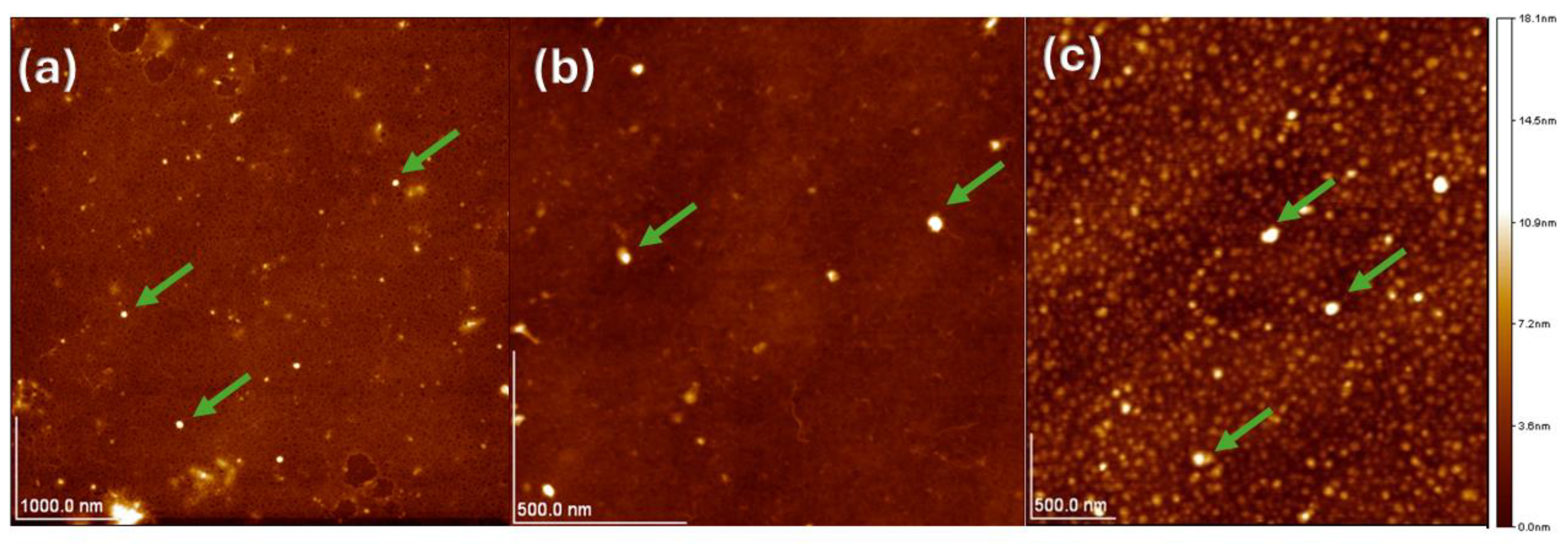 Polymers 16 03058 g003