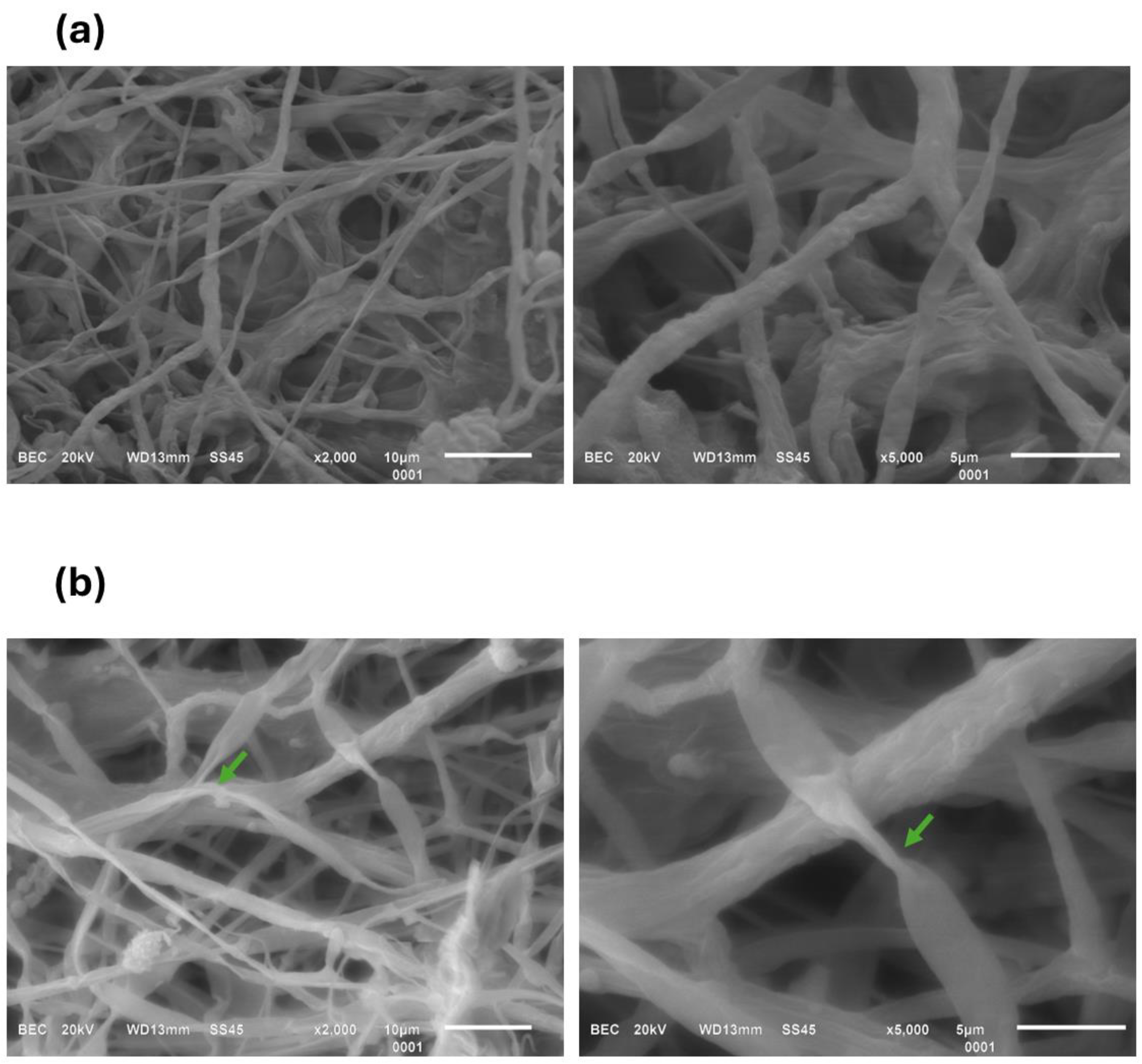 Polymers 16 03058 g009a