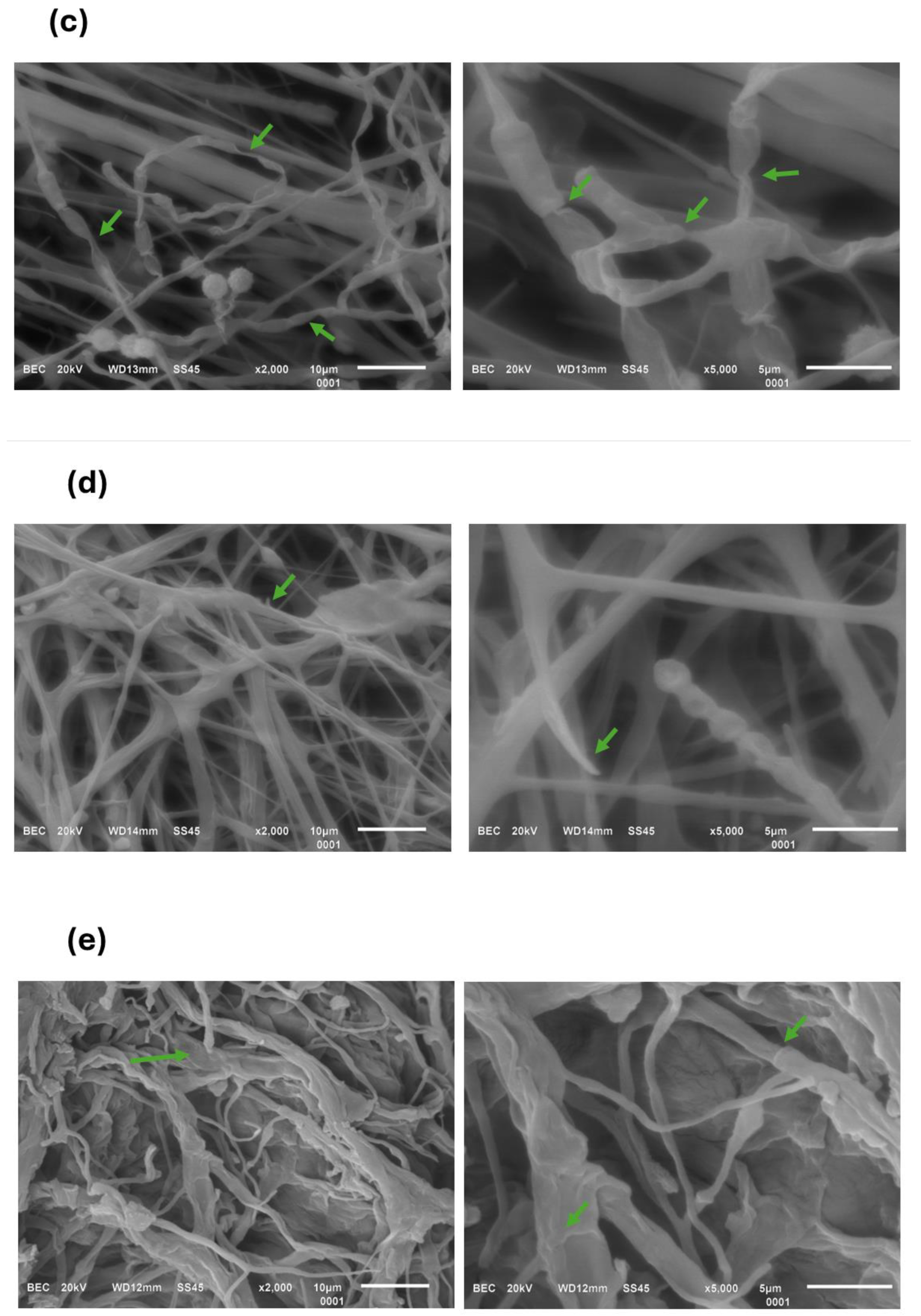 Polymers 16 03058 g009b
