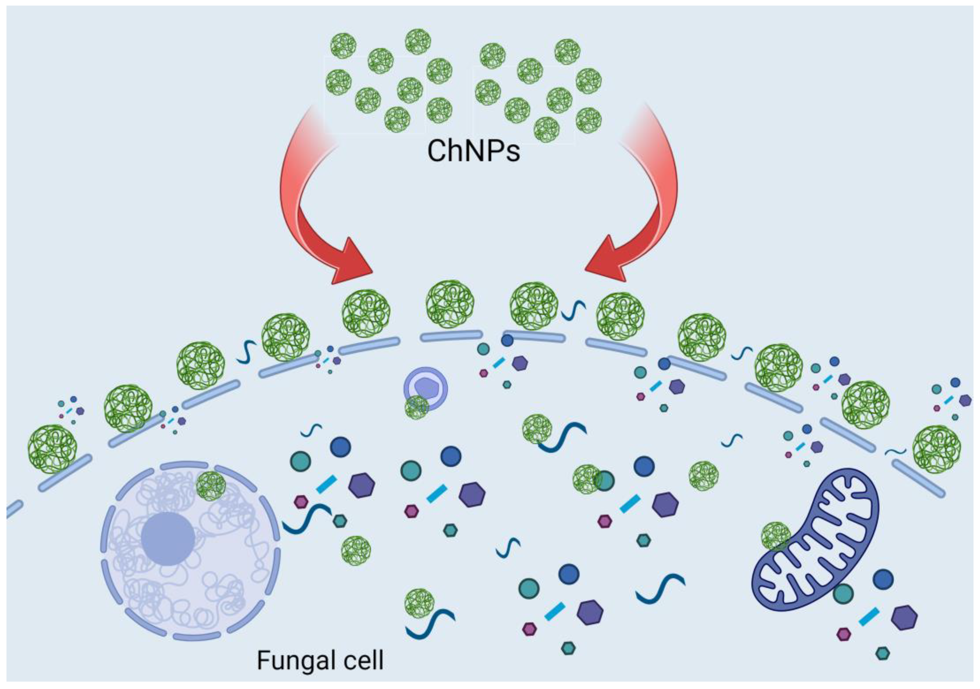 Polymers 16 03058 g010