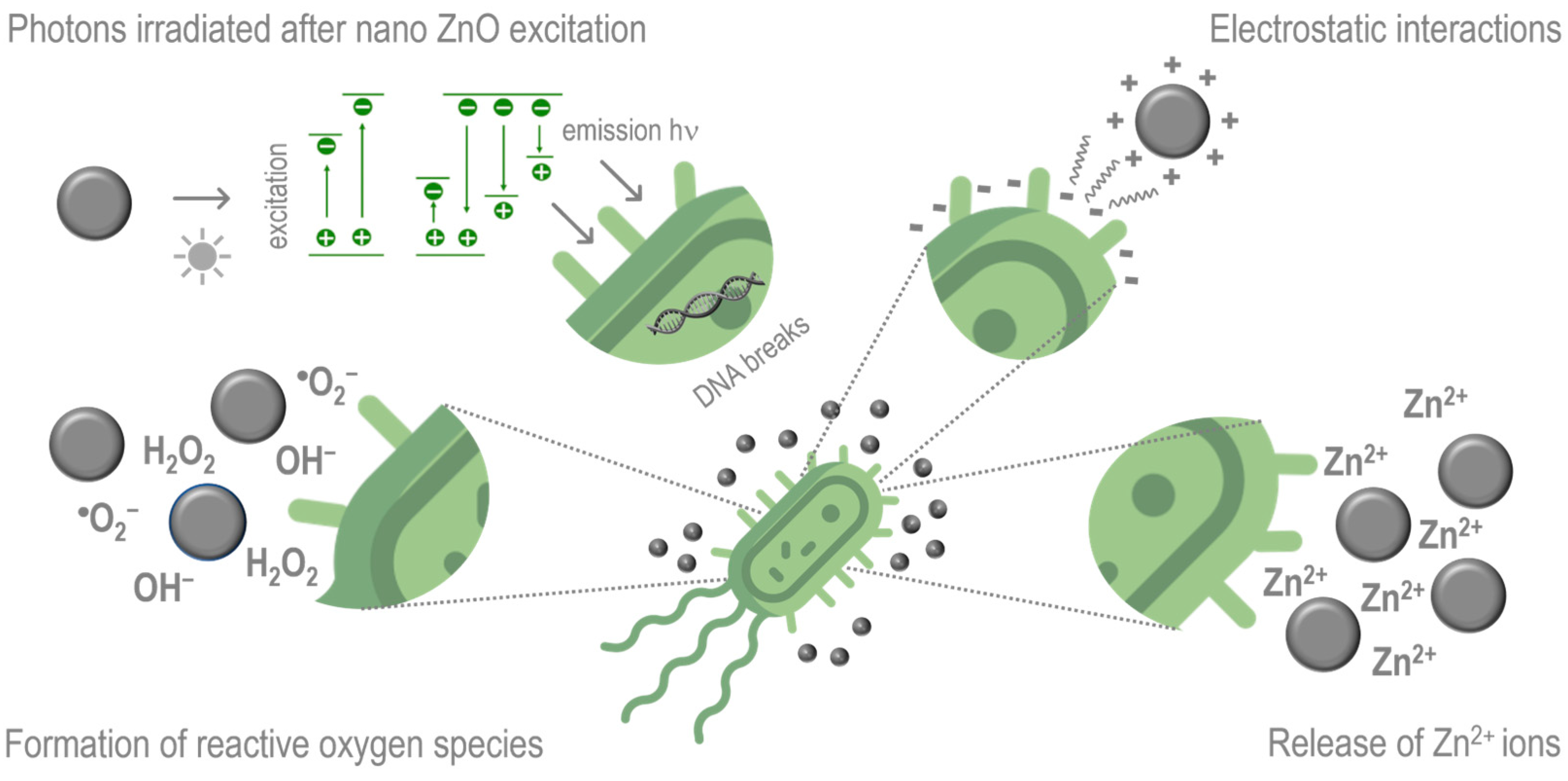 Polymers 16 03061 g005