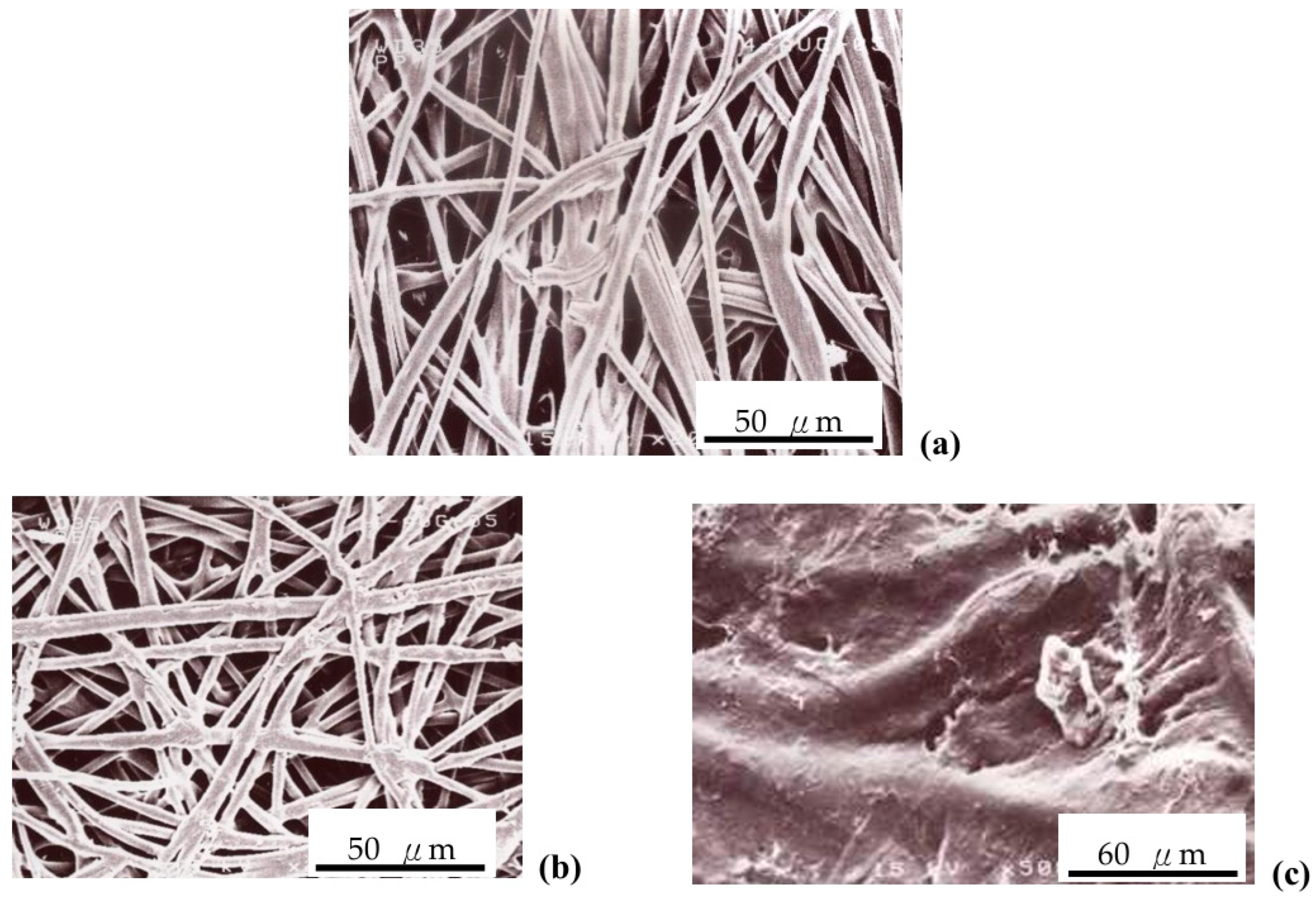 Polymers 16 03068 g001