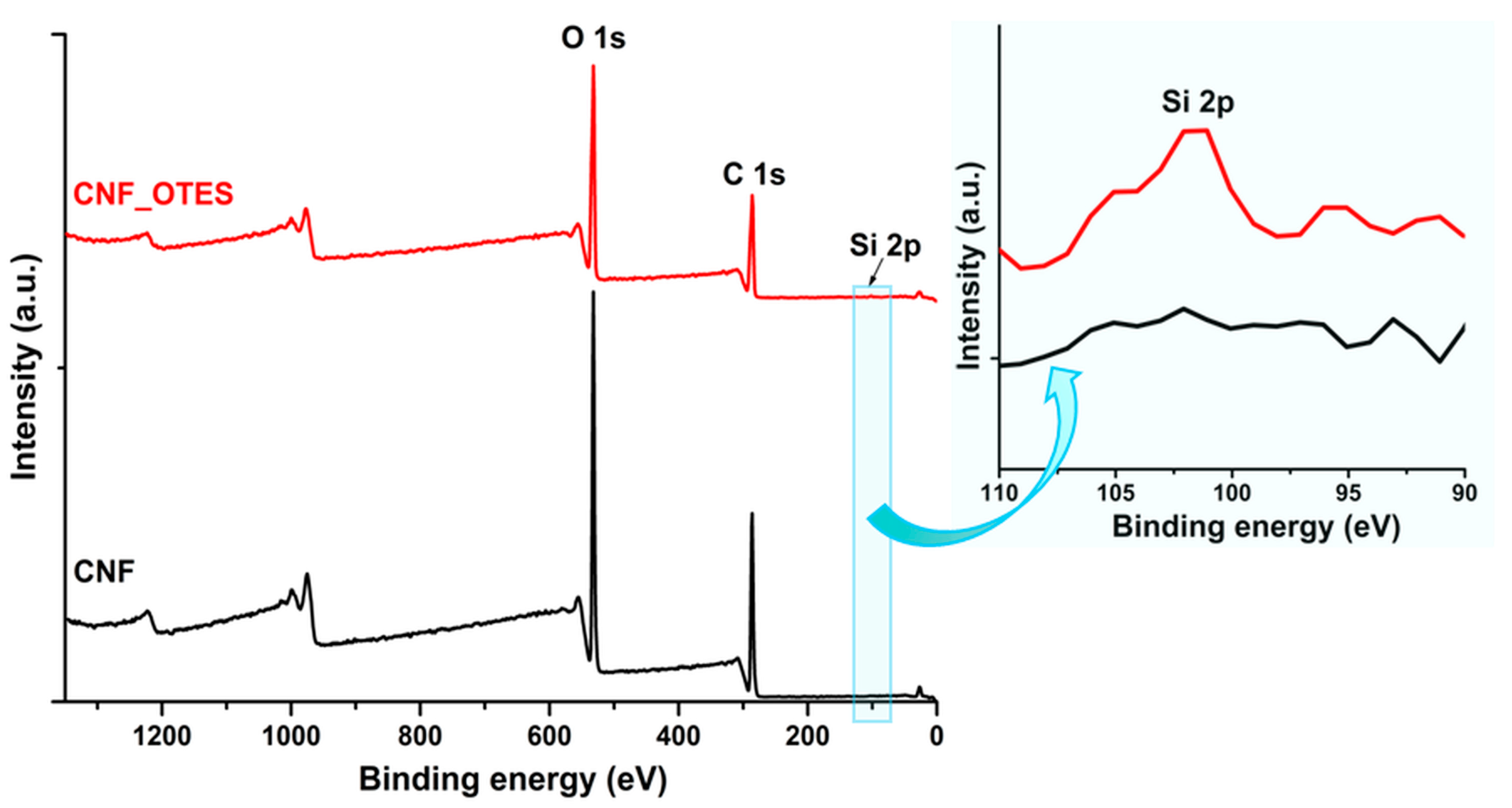 Polymers 16 03069 g003