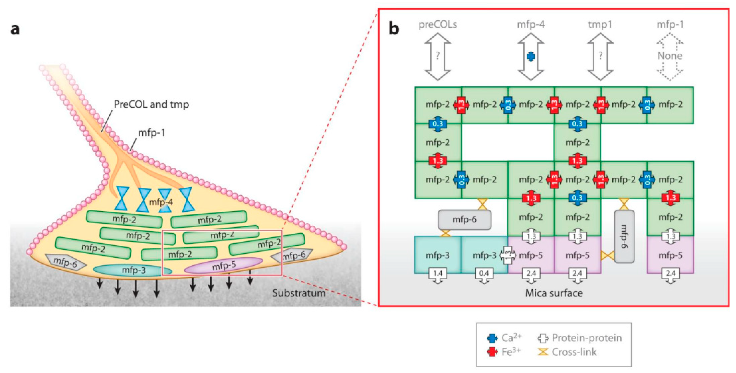 Polymers 16 03070 g002