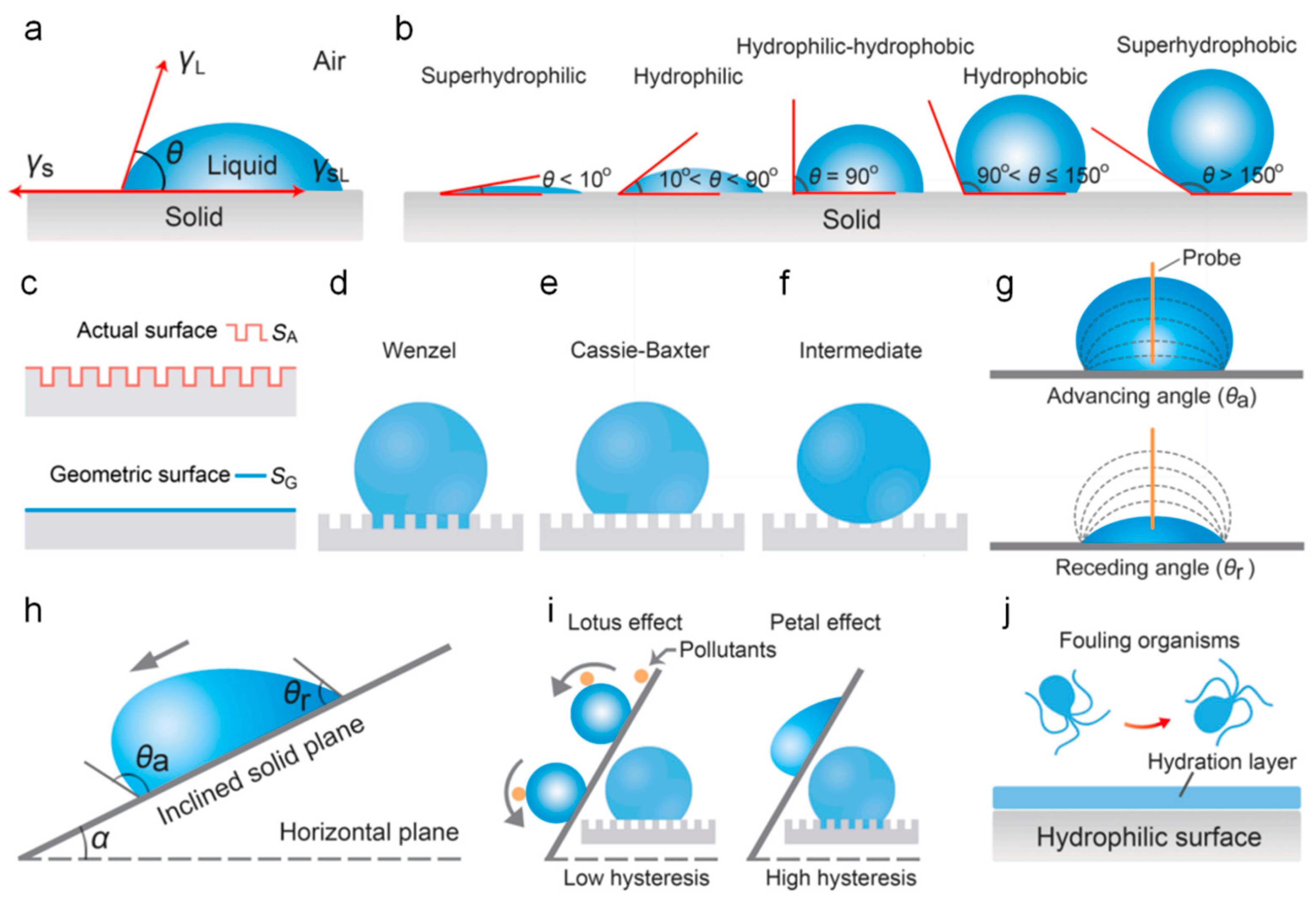 Polymers 16 03070 g004