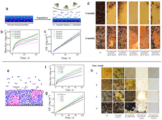 Prevention and Control of Biofouling Coatings in Limnoperna
