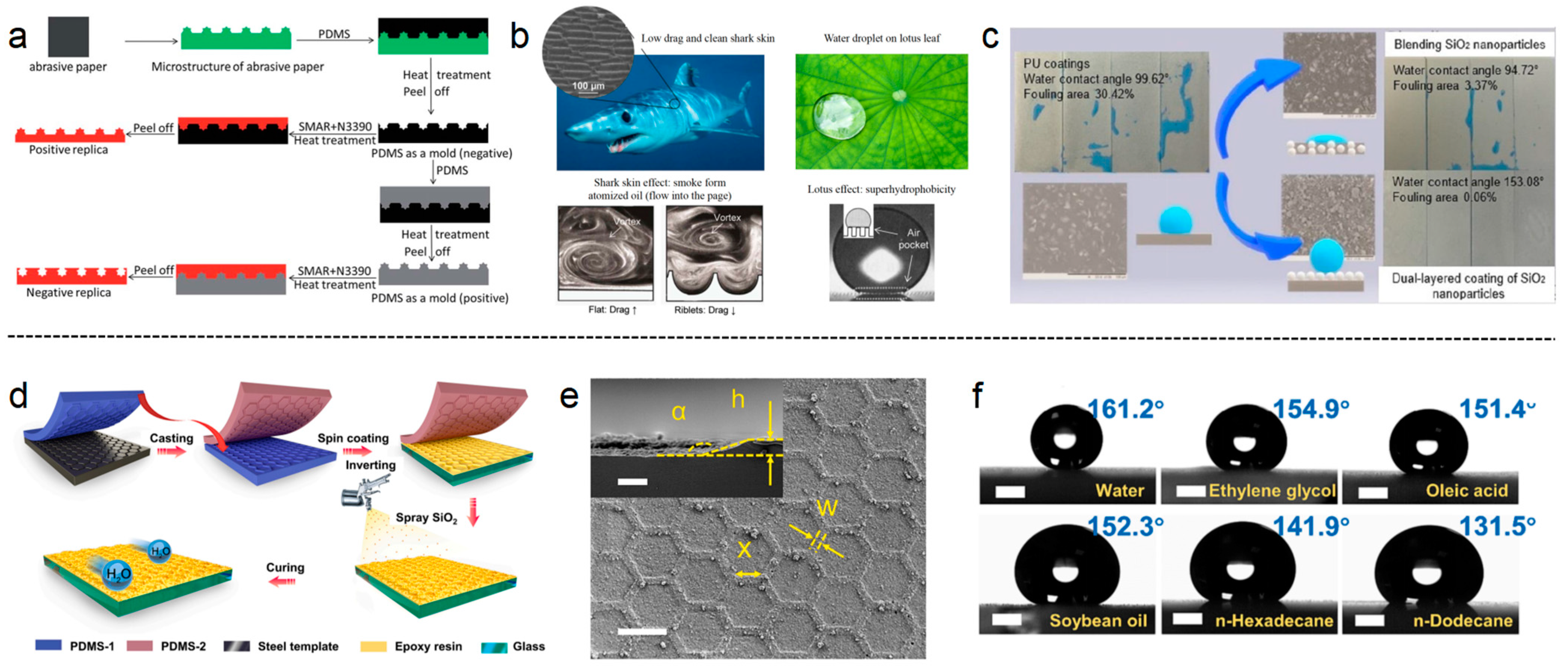 Polymers 16 03070 g009