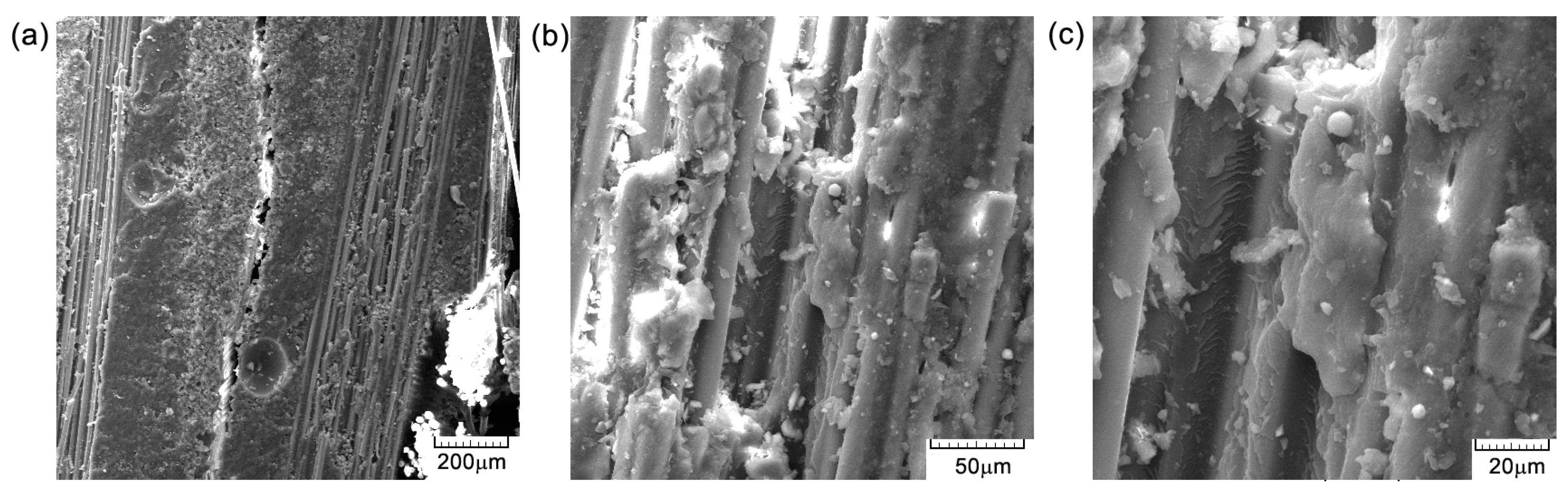 Polymers 16 03071 g016