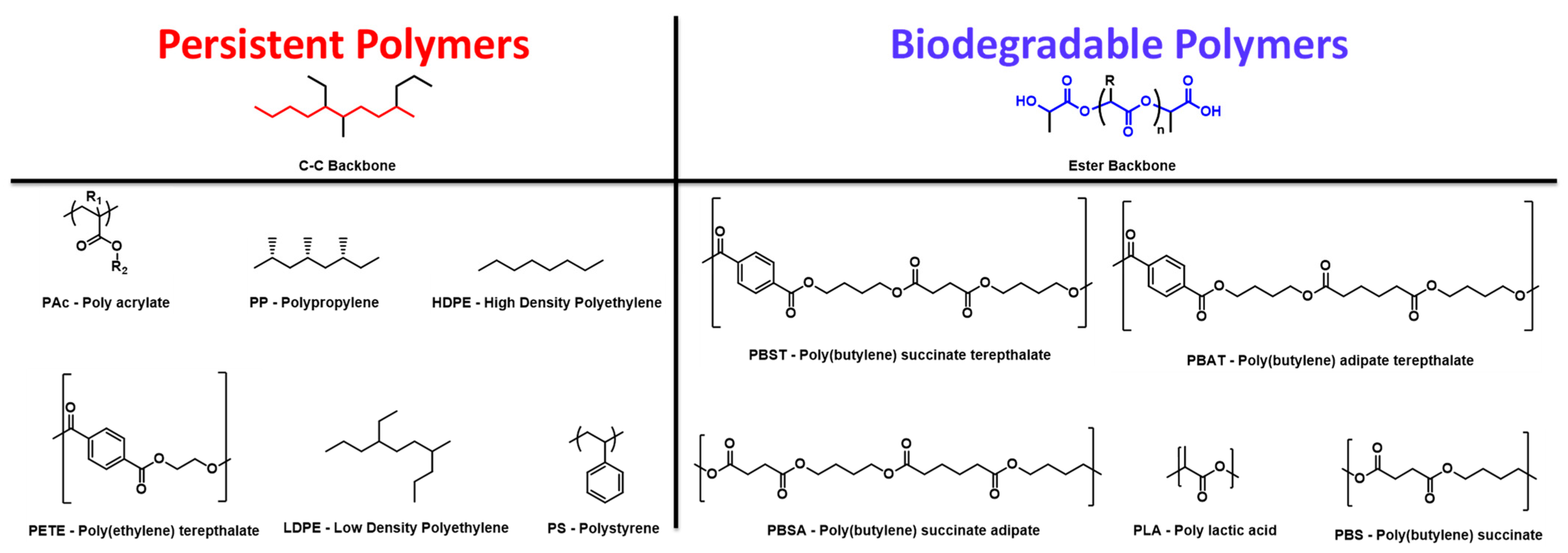 Polymers 16 03073 g007