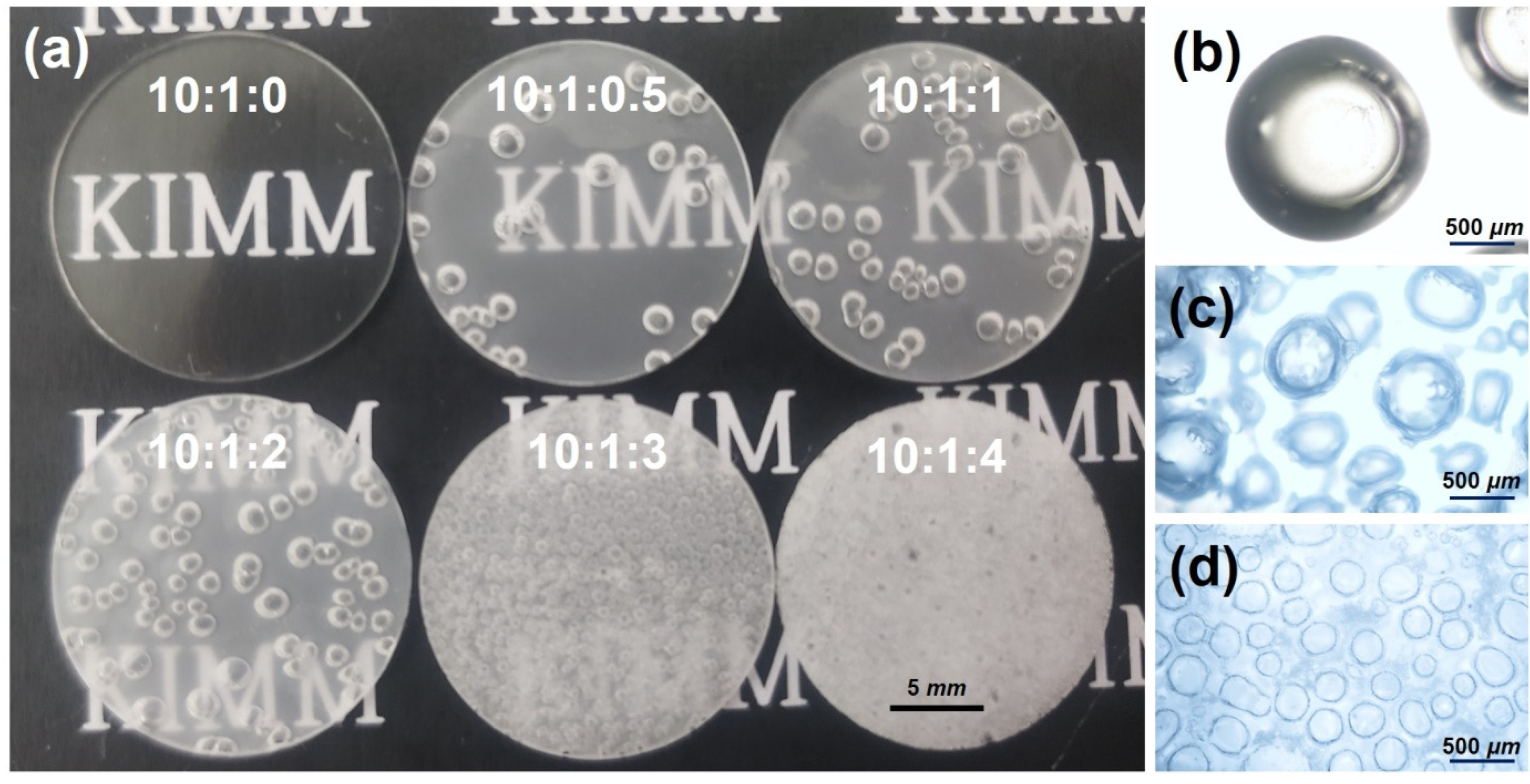 Polymers 16 03075 g002