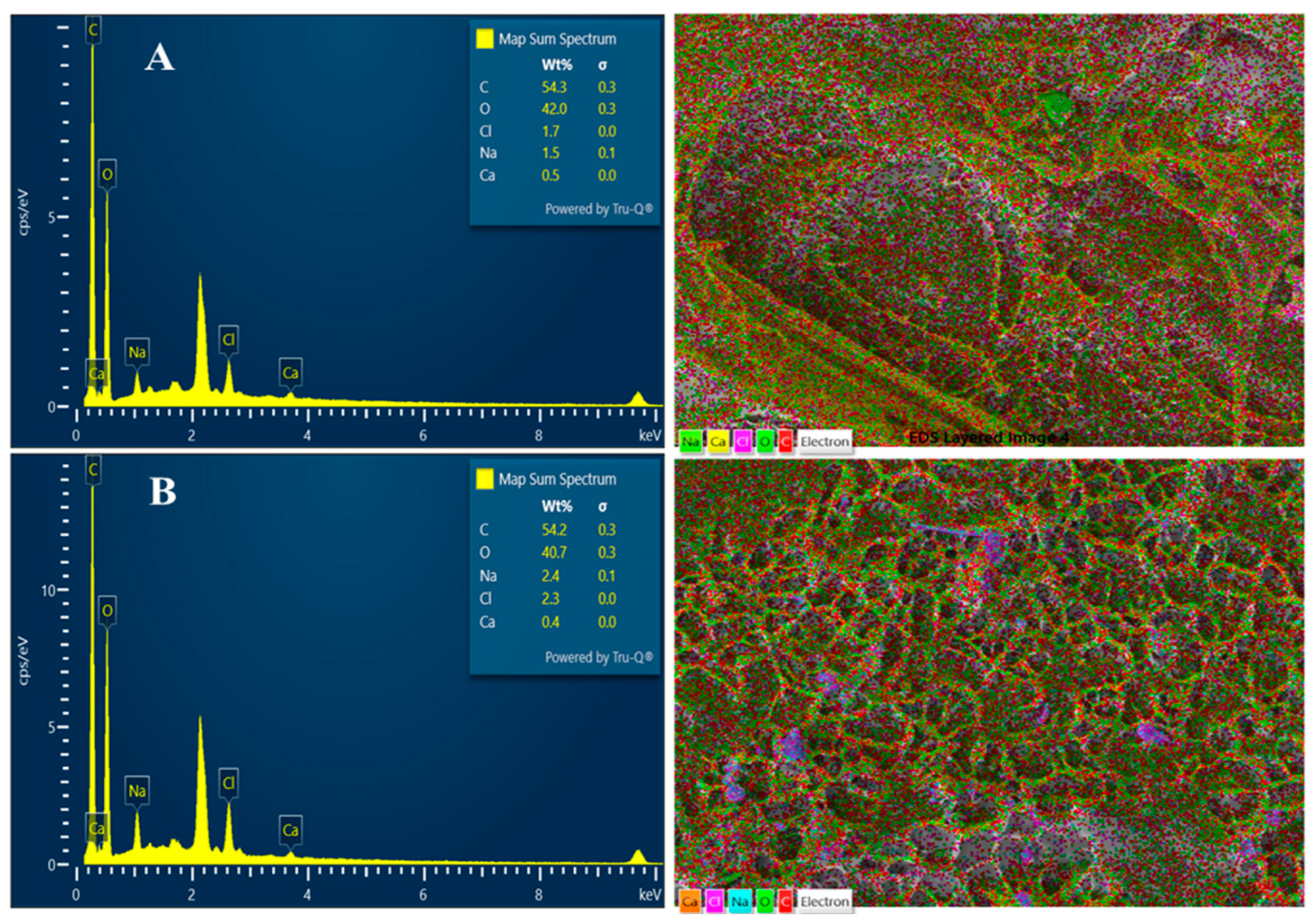 Polymers 16 03081 g007