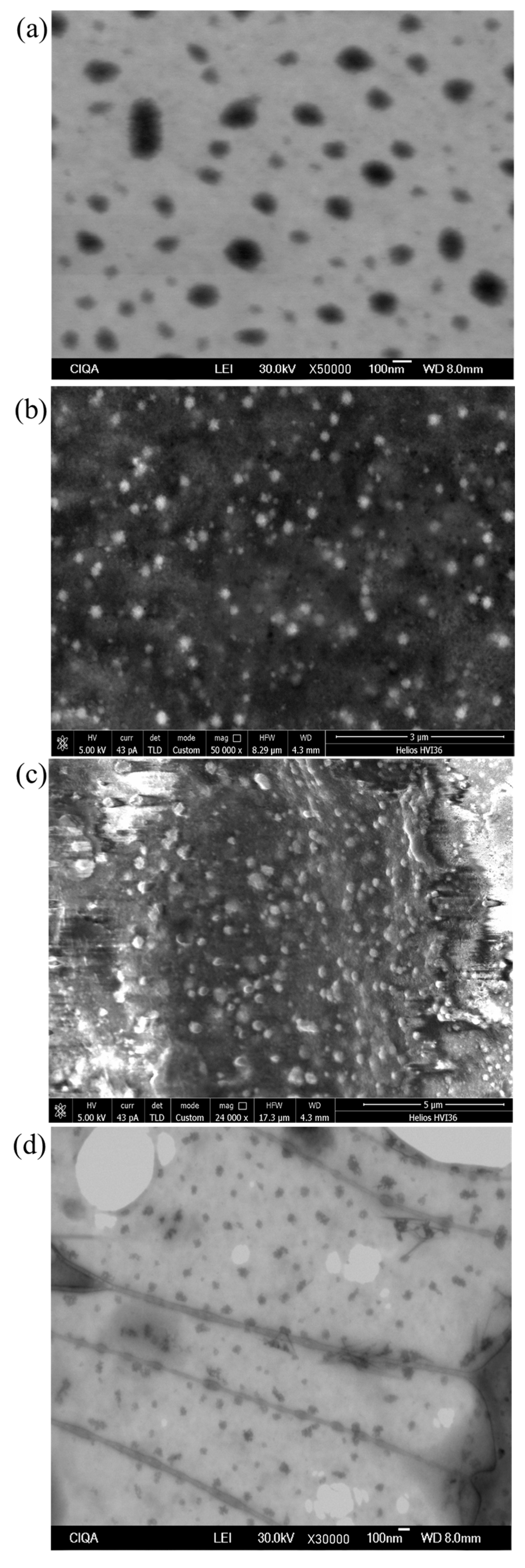 Polymers 16 03087 g003