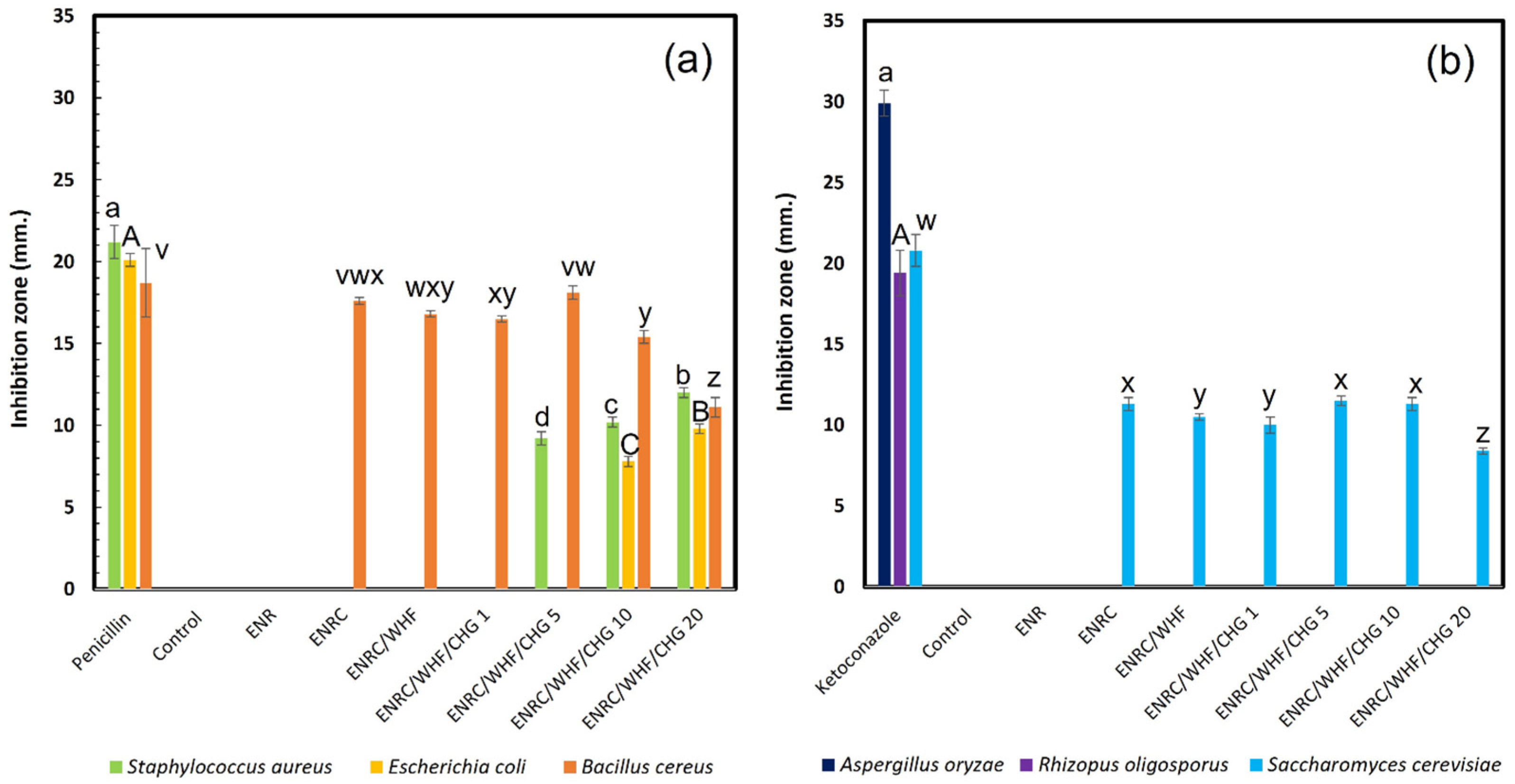 Polymers 16 03089 g008