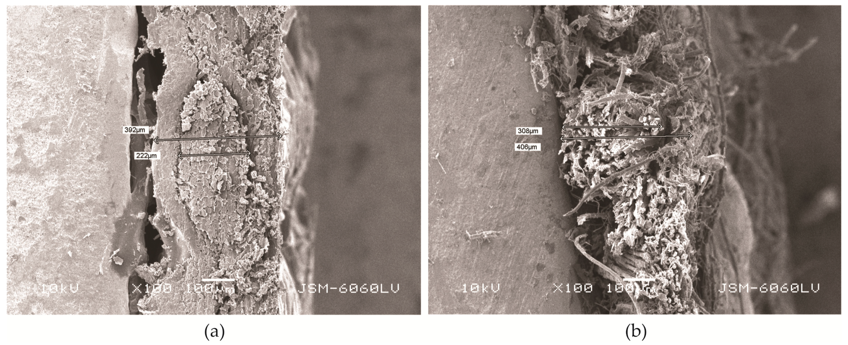 Polymers 16 03090 g006