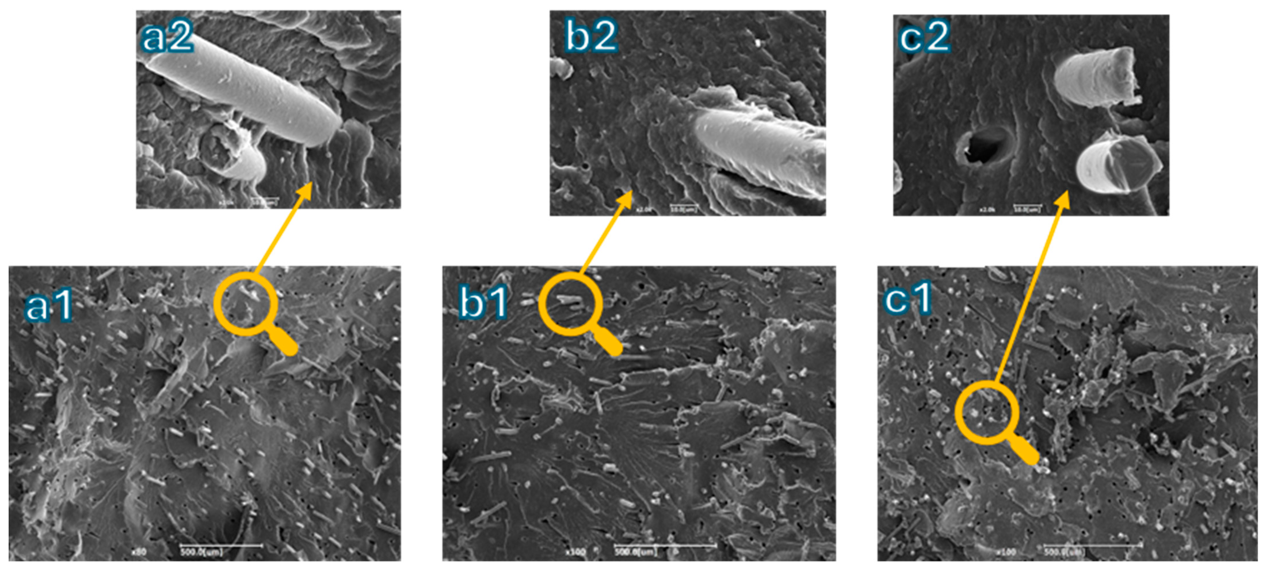Polymers 16 03092 g008