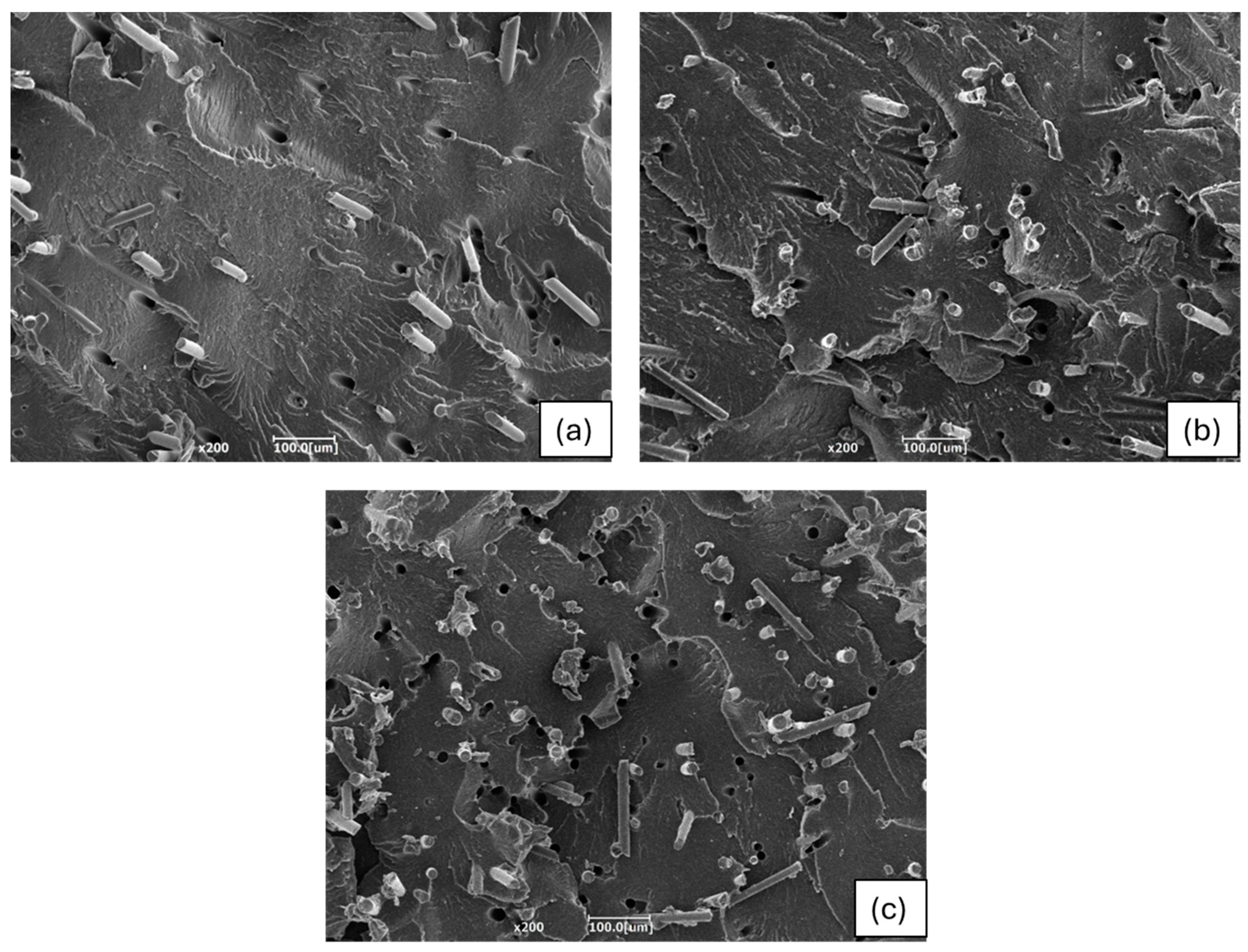 Polymers 16 03092 g011
