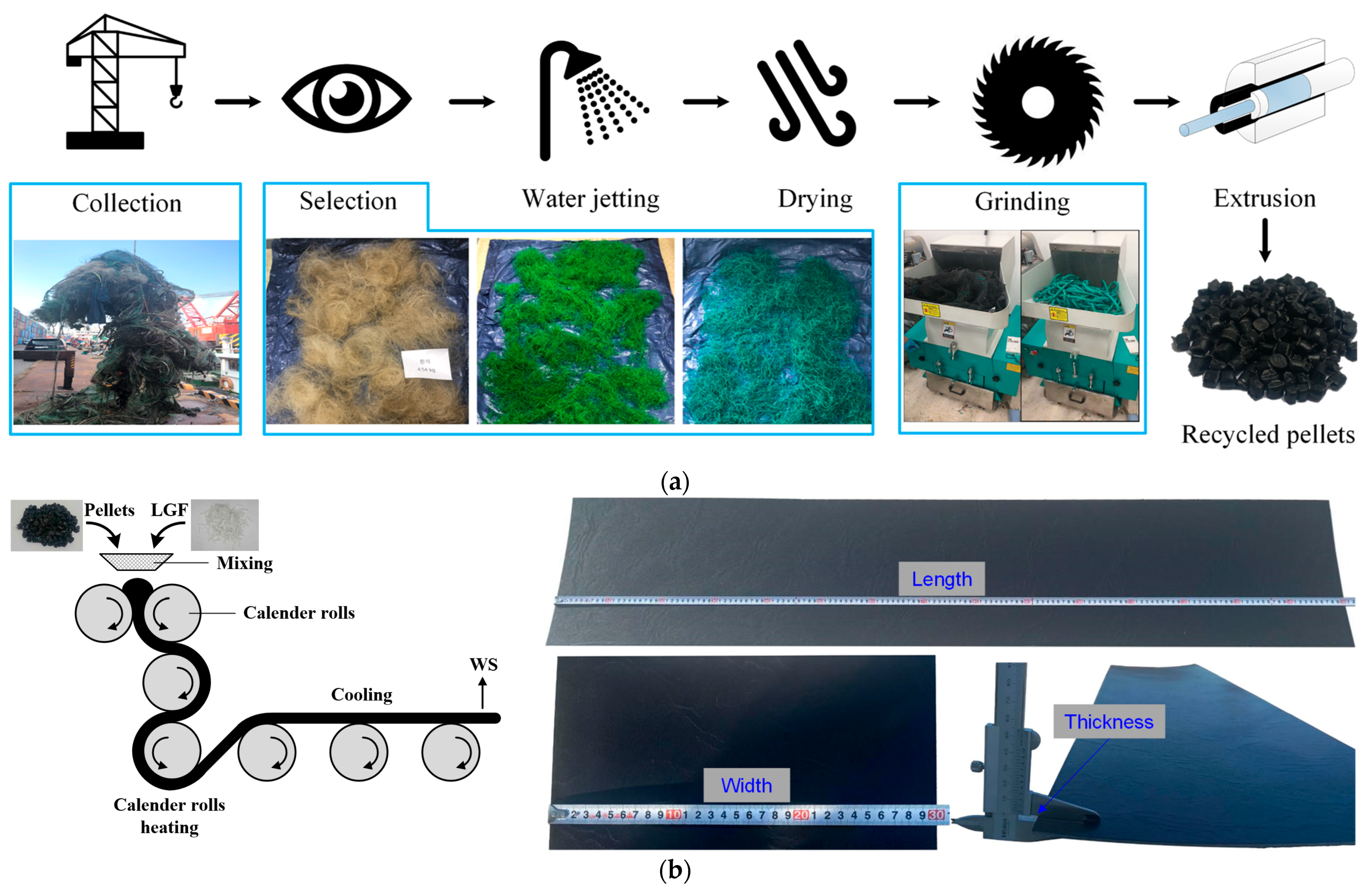 Polymers 16 03093 g001
