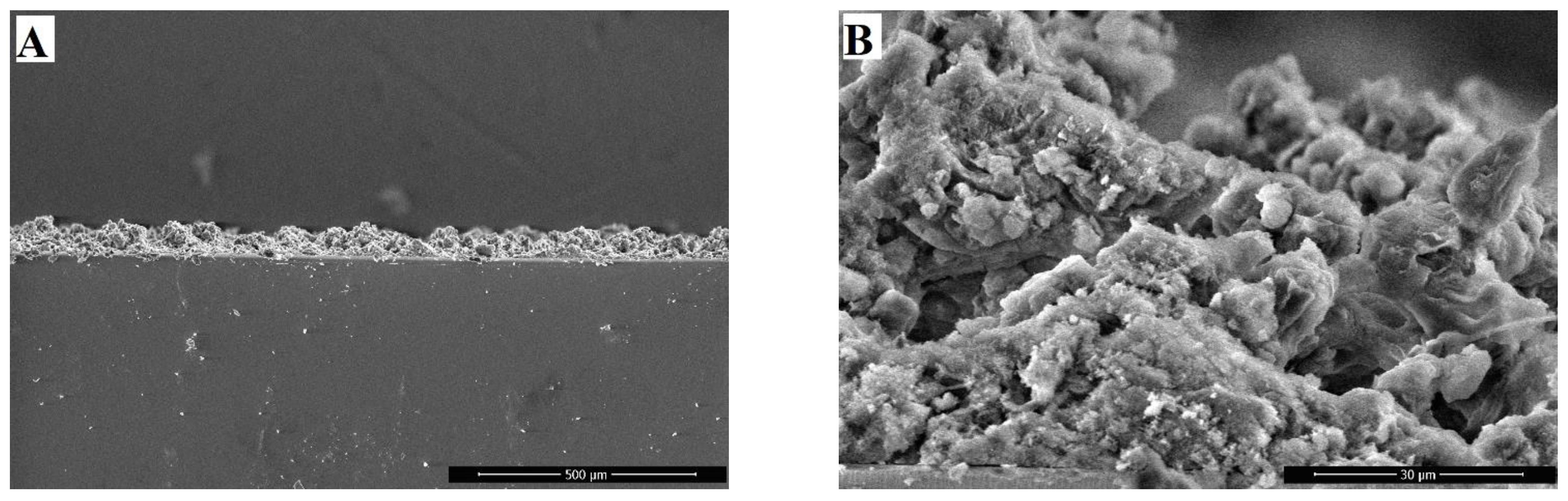 Polymers 16 03094 g005