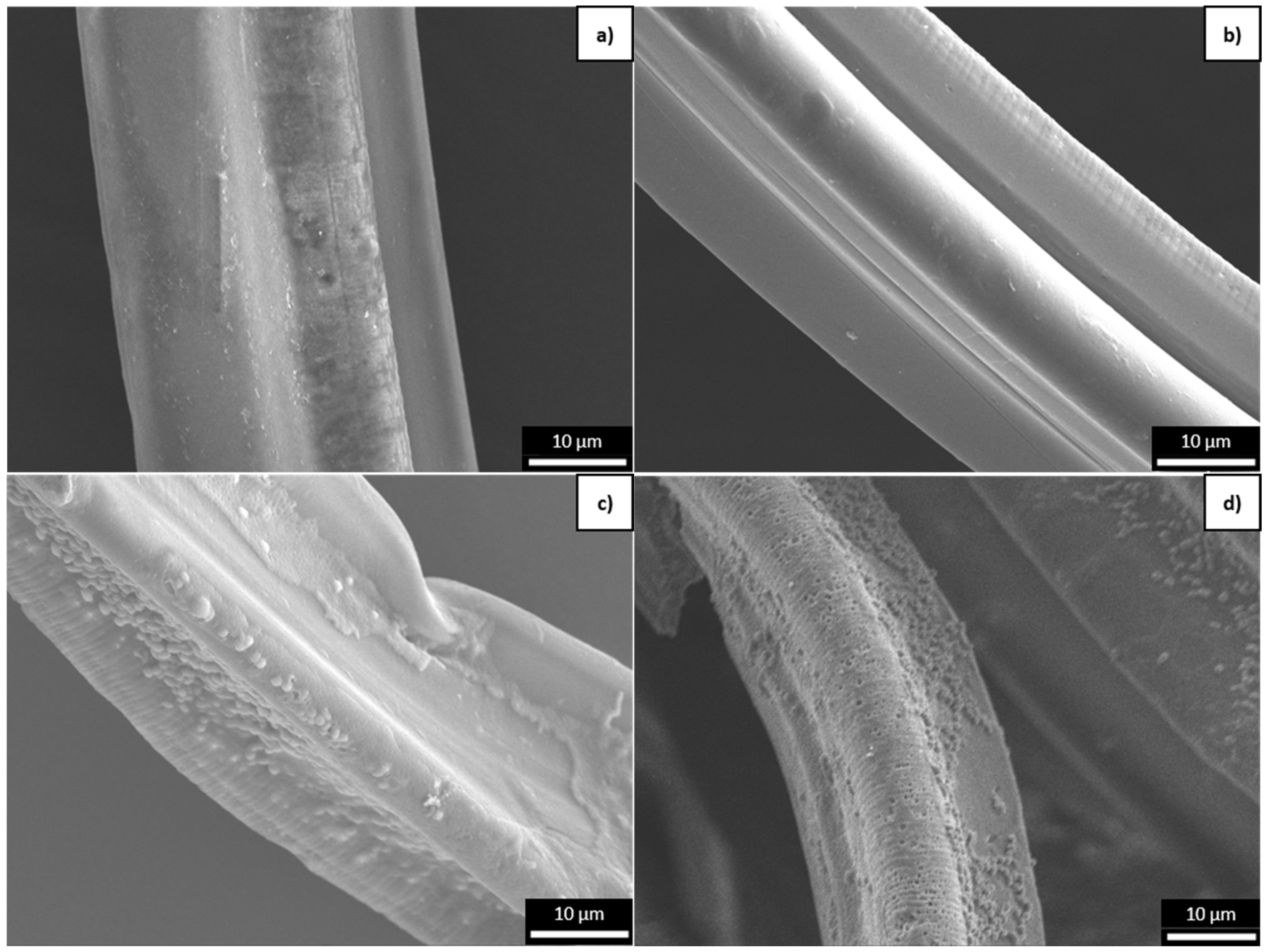 Polymers 16 03096 g007