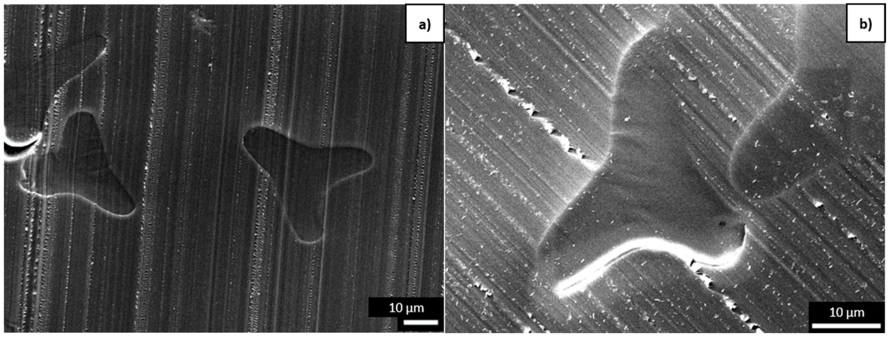 Polymers 16 03096 g009a