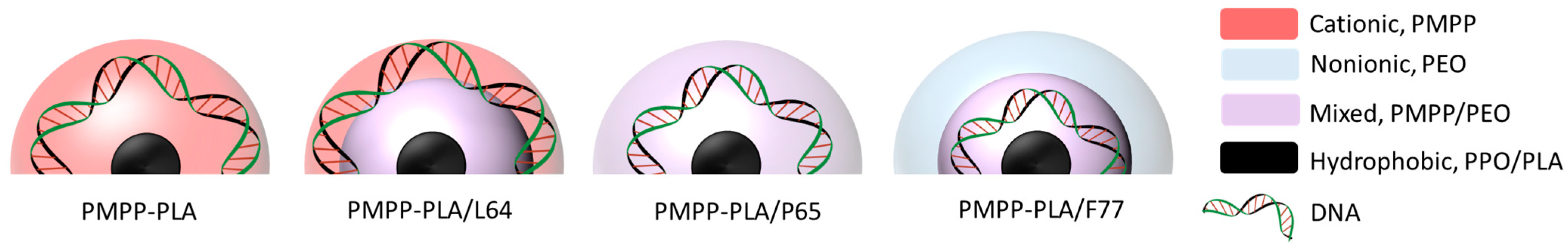 Polymers 16 03100 g007