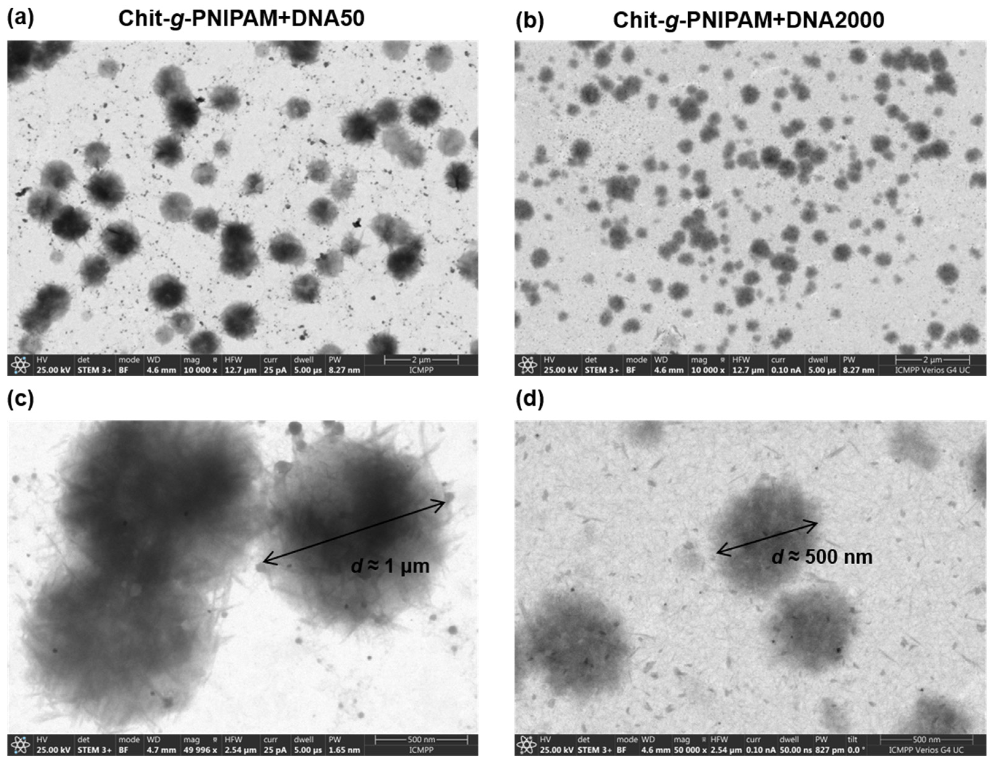 Polymers 16 03101 g002
