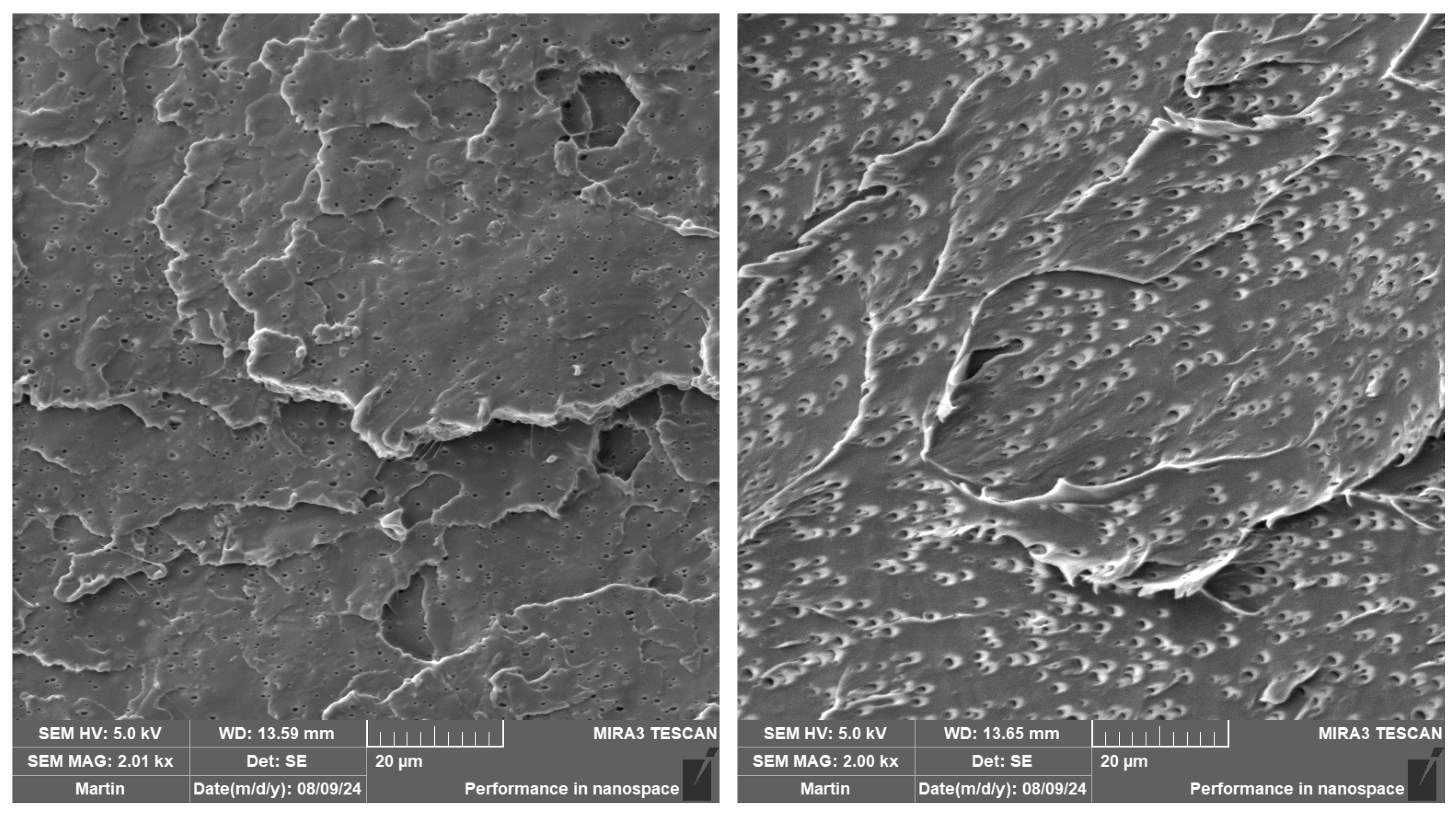 Polymers 16 03102 g007