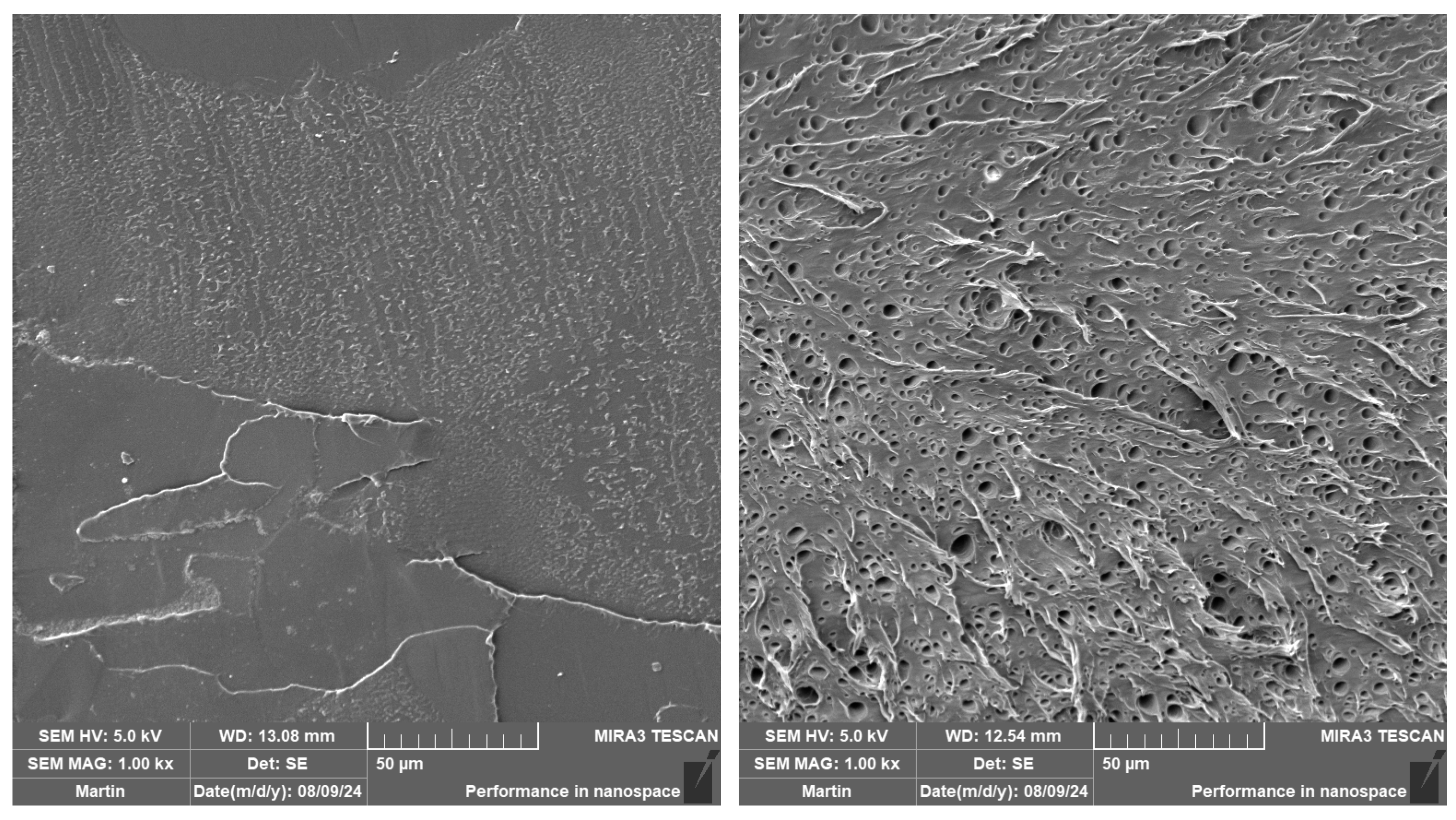 Polymers 16 03102 g008