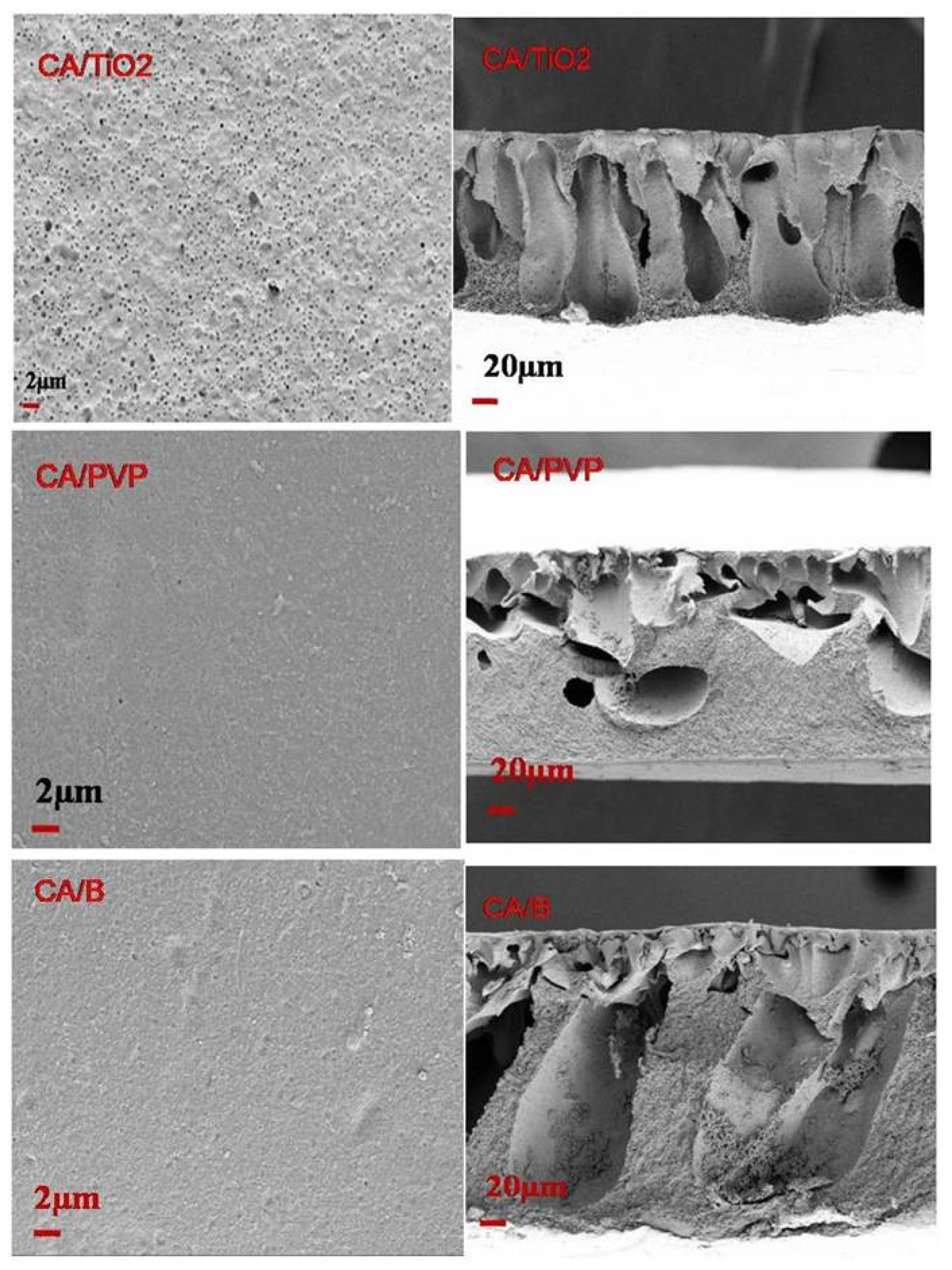 Polymers 16 03108 g002