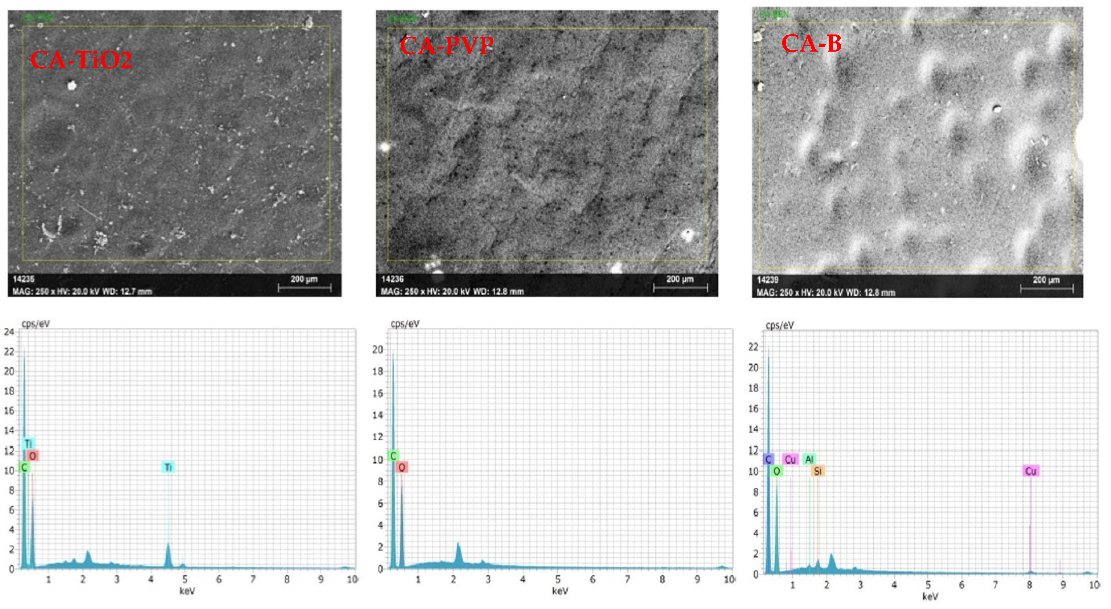 Polymers 16 03108 g003