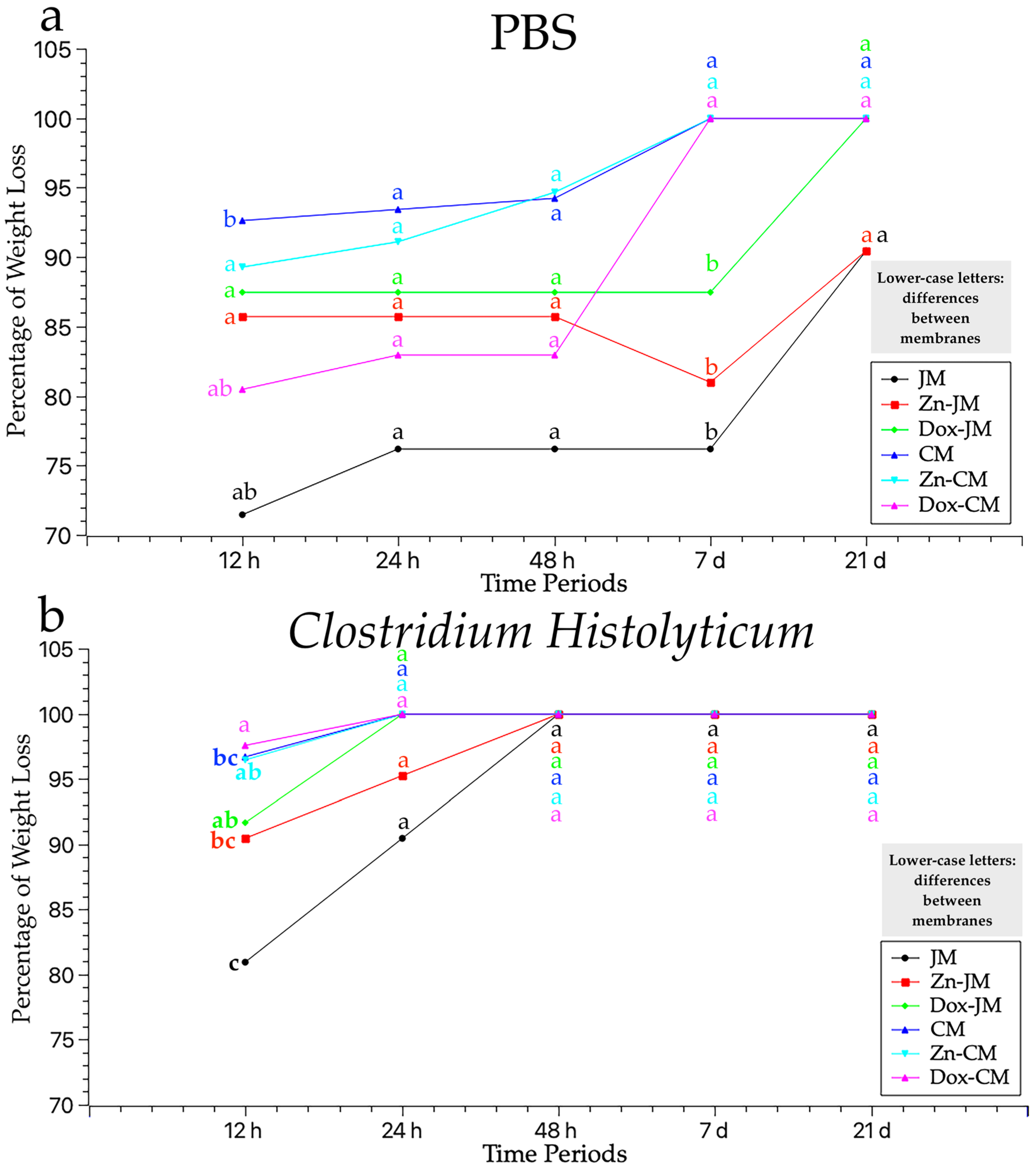 Polymers 16 03109 g002
