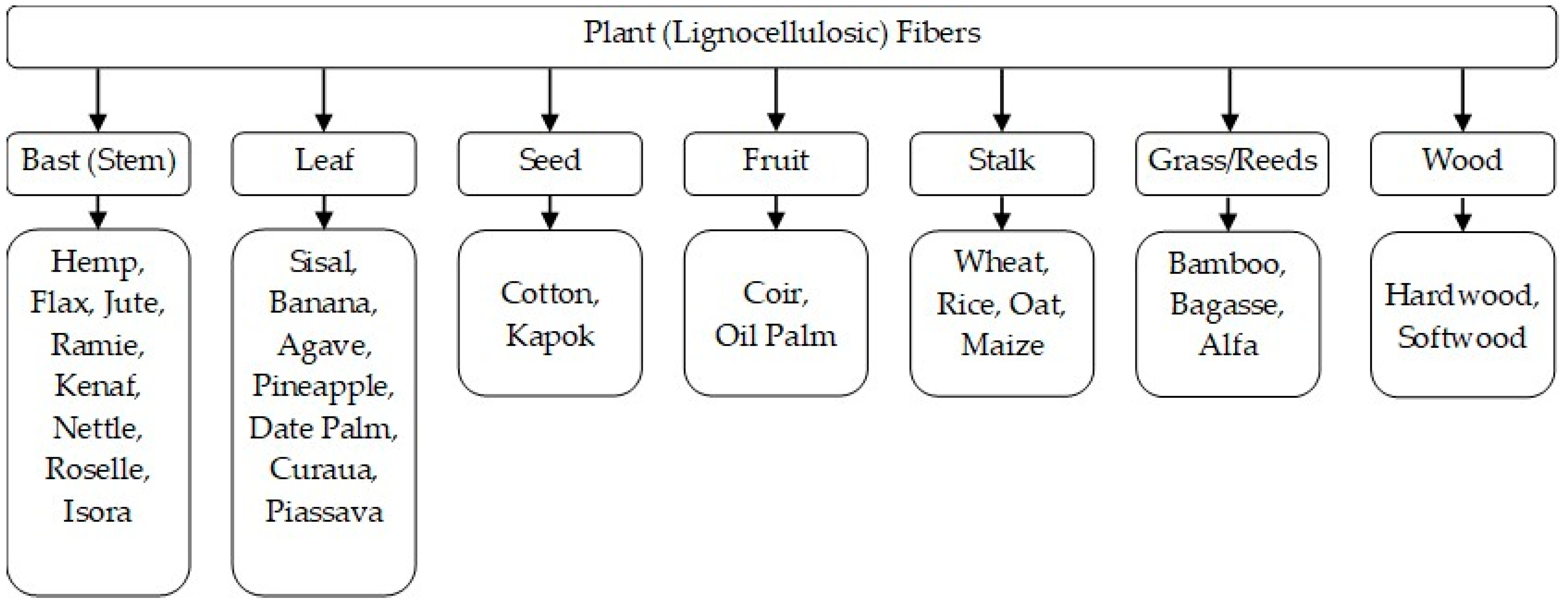 Polymers 16 03113 g002