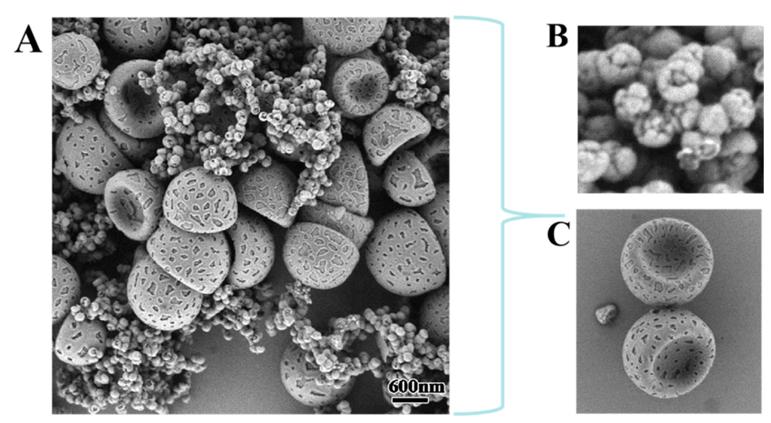 Polymers 16 03120 g001