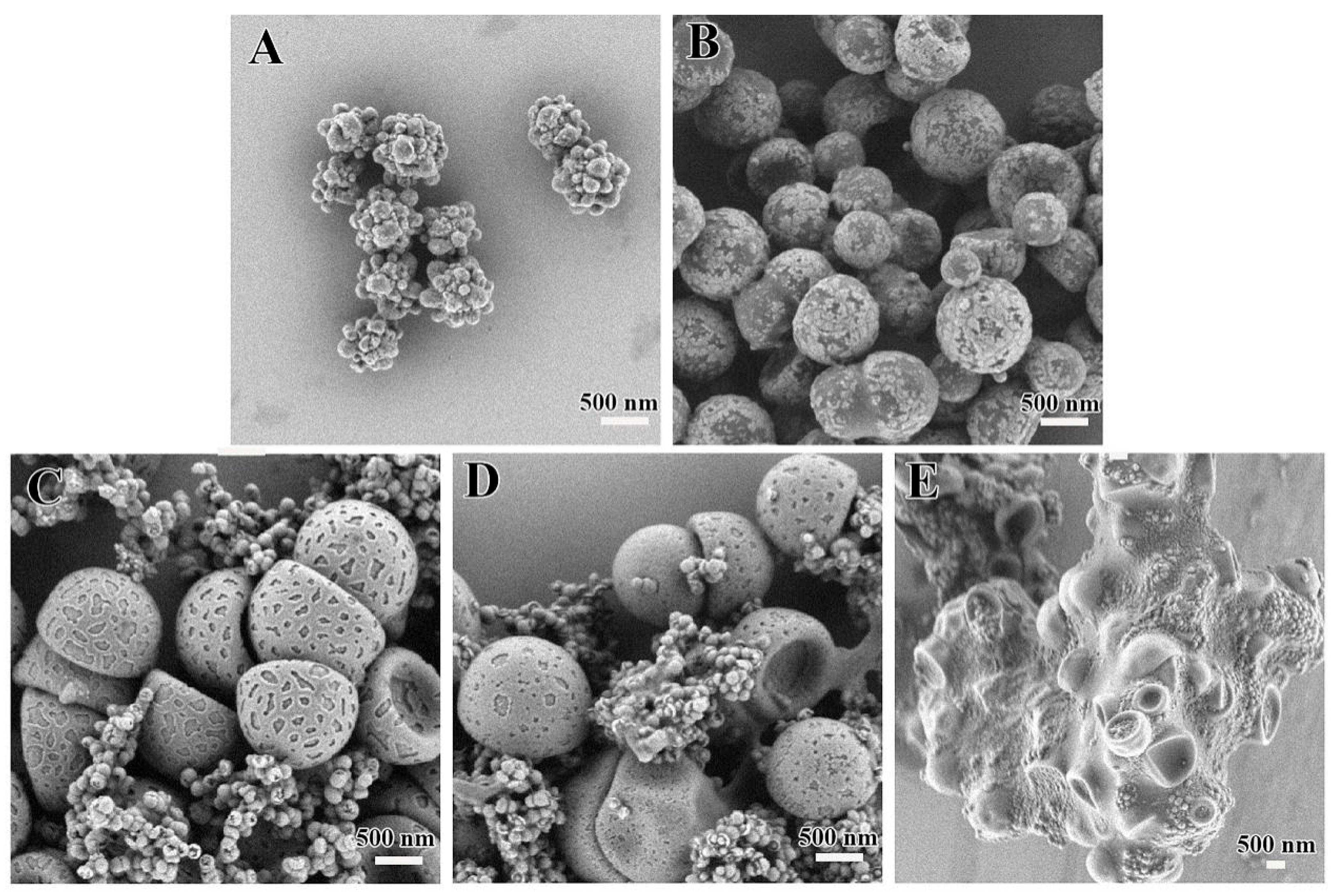 Polymers 16 03120 g004