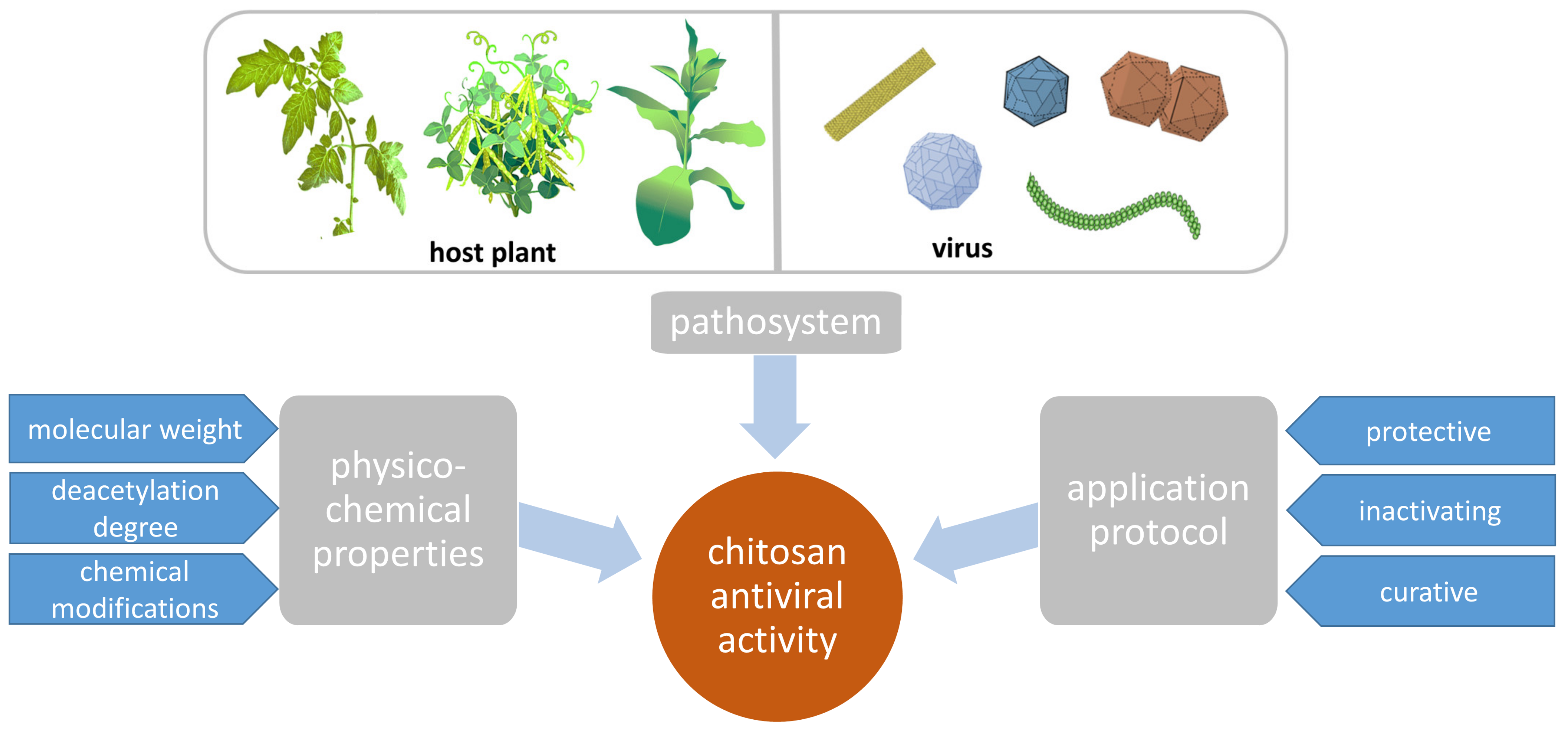 Polymers 16 03122 g001