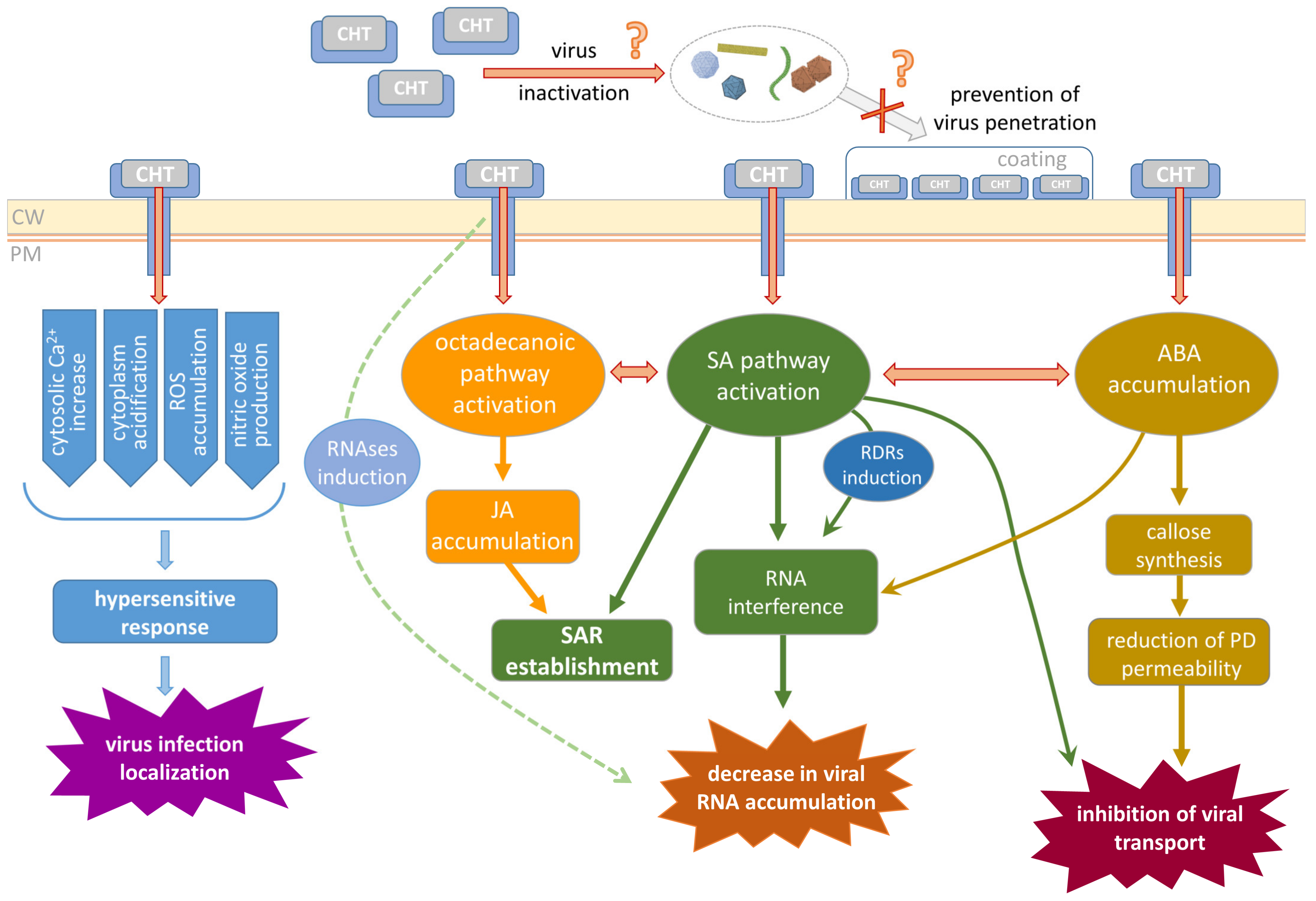 Polymers 16 03122 g002