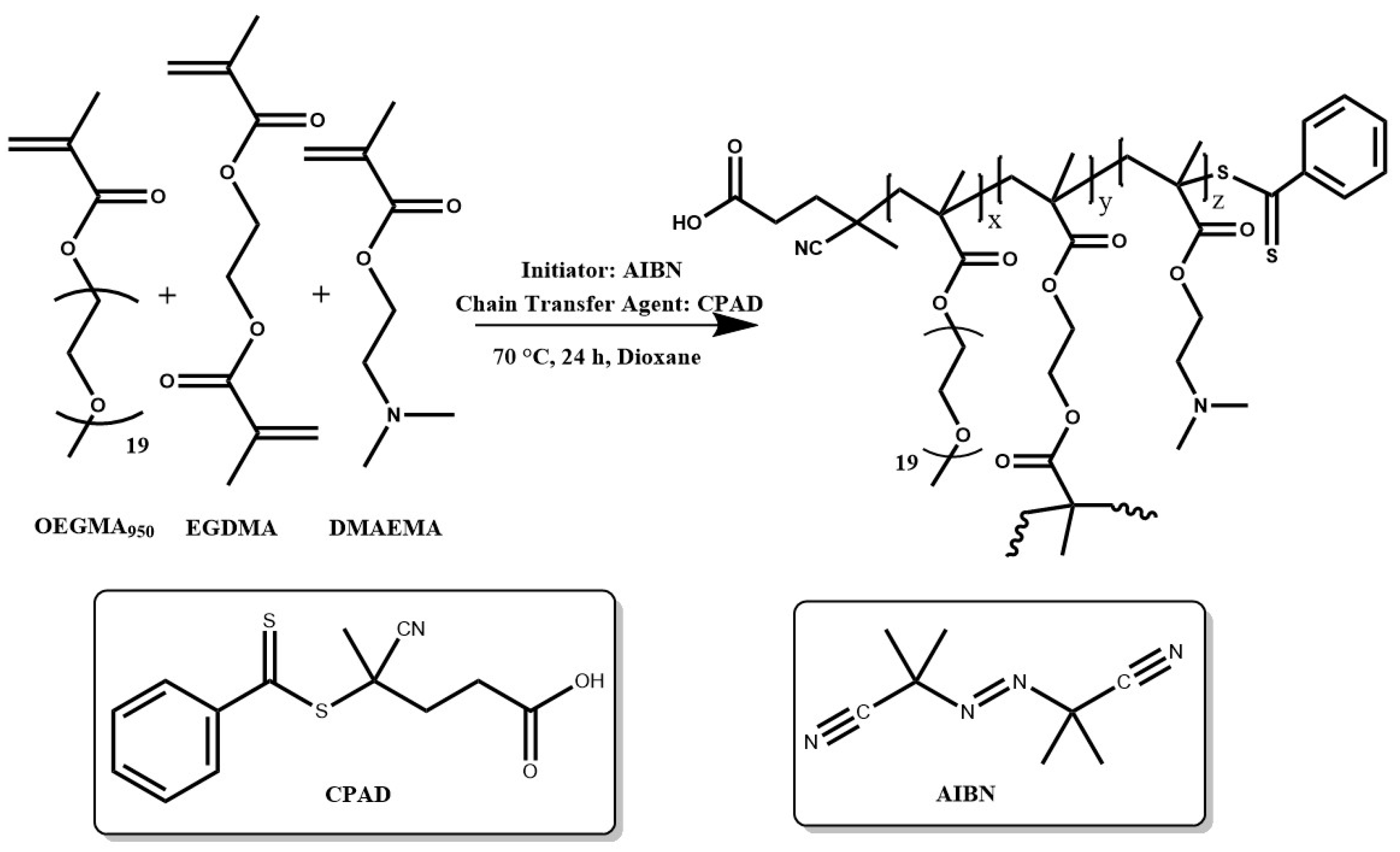 Polymers 16 03129 g002