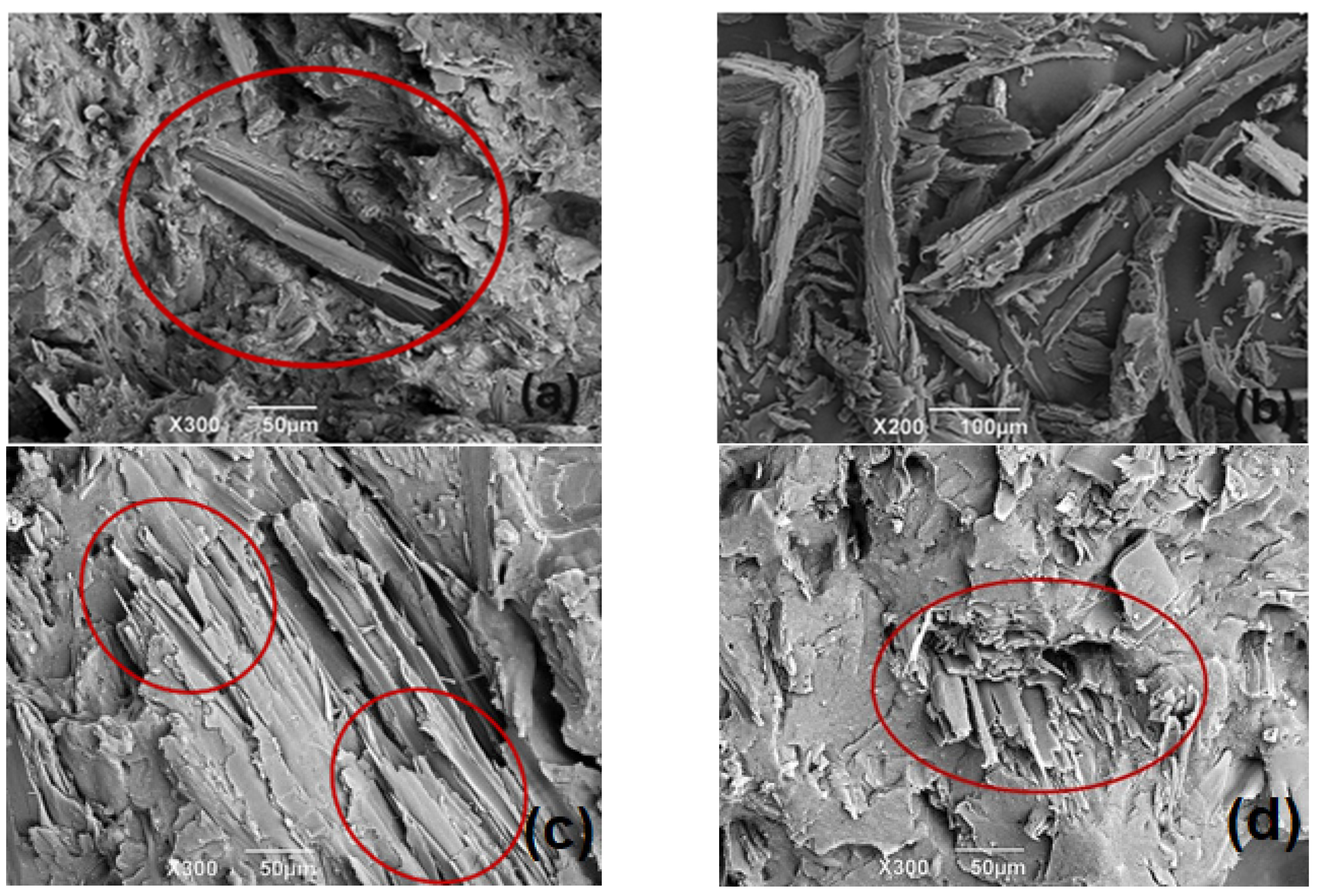 Polymers 16 03136 g004