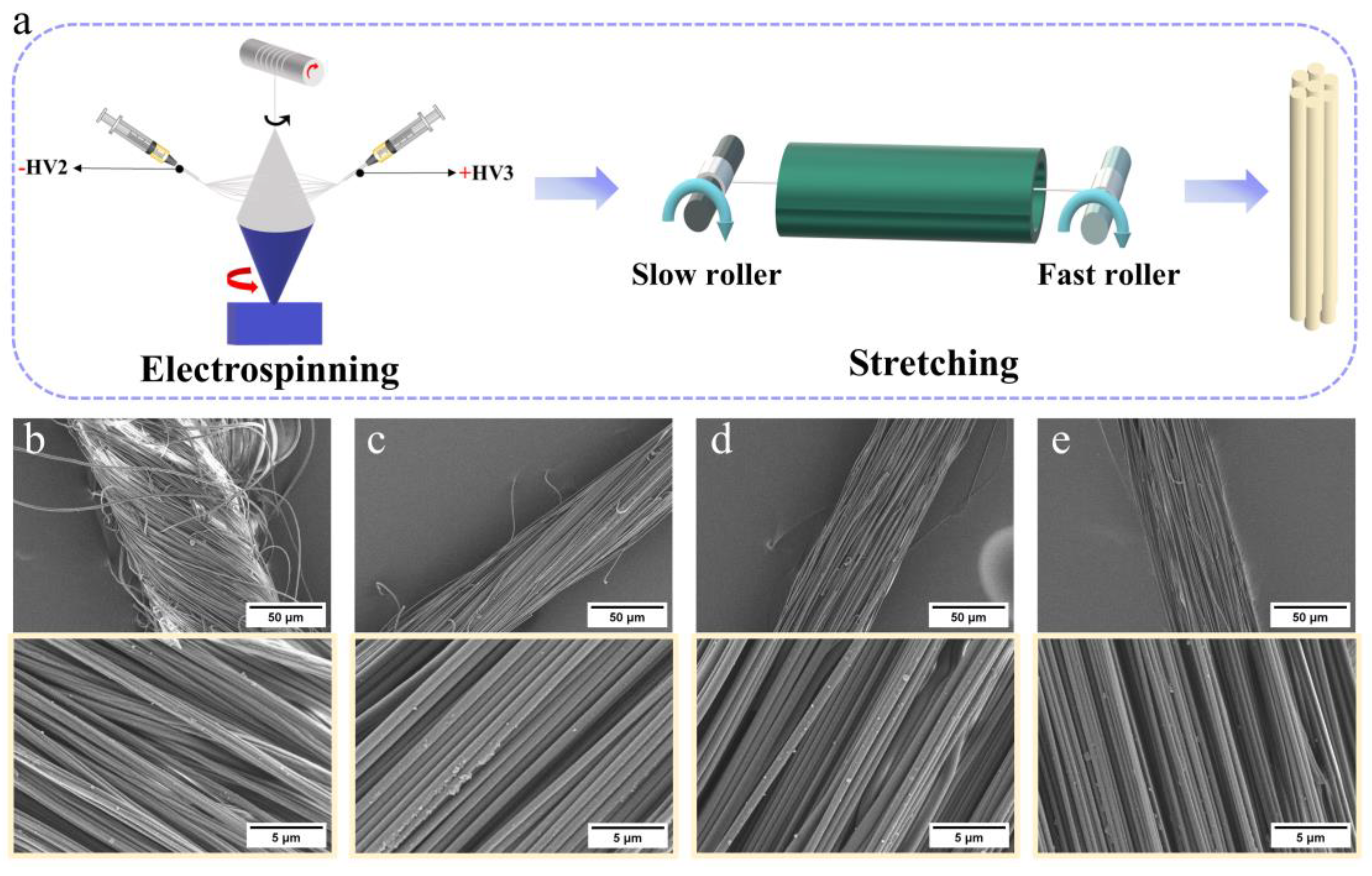 Polymers 16 03137 g001