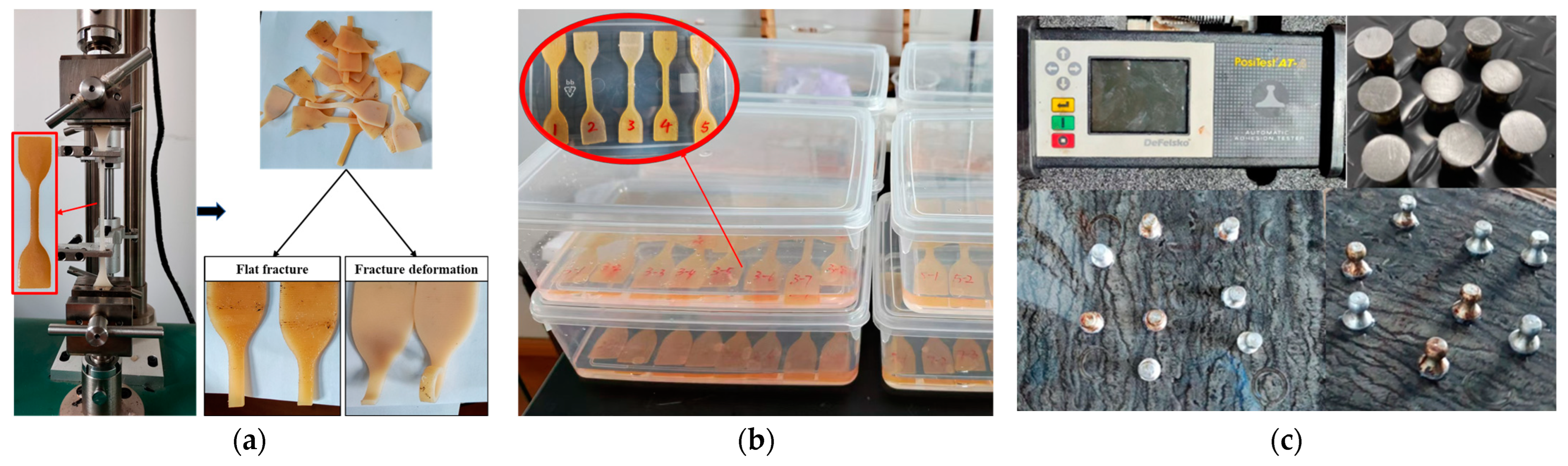 Polymers 16 03140 g004 Polymers 16 03140 g004
