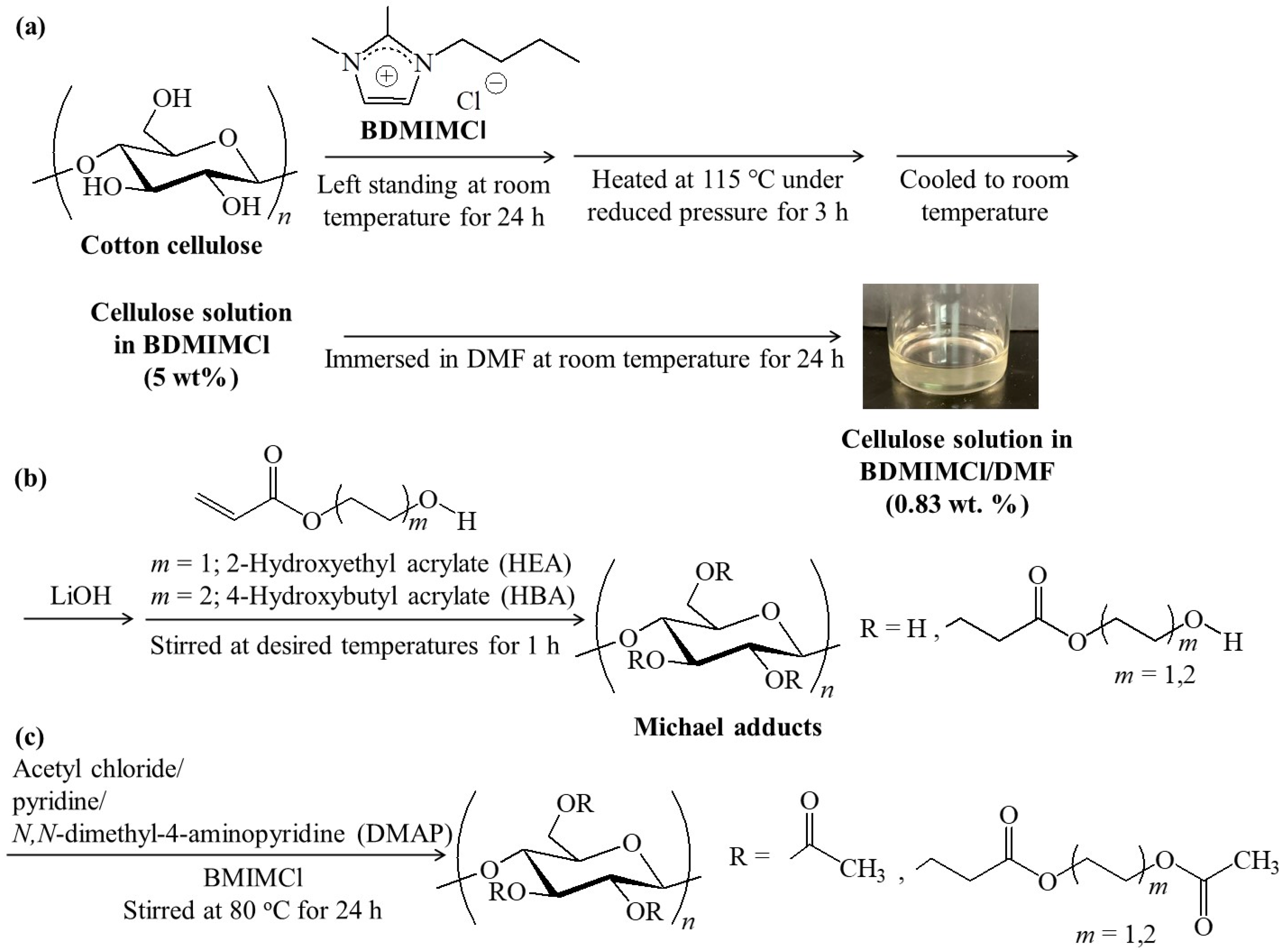 Polymers 16 03142 g001