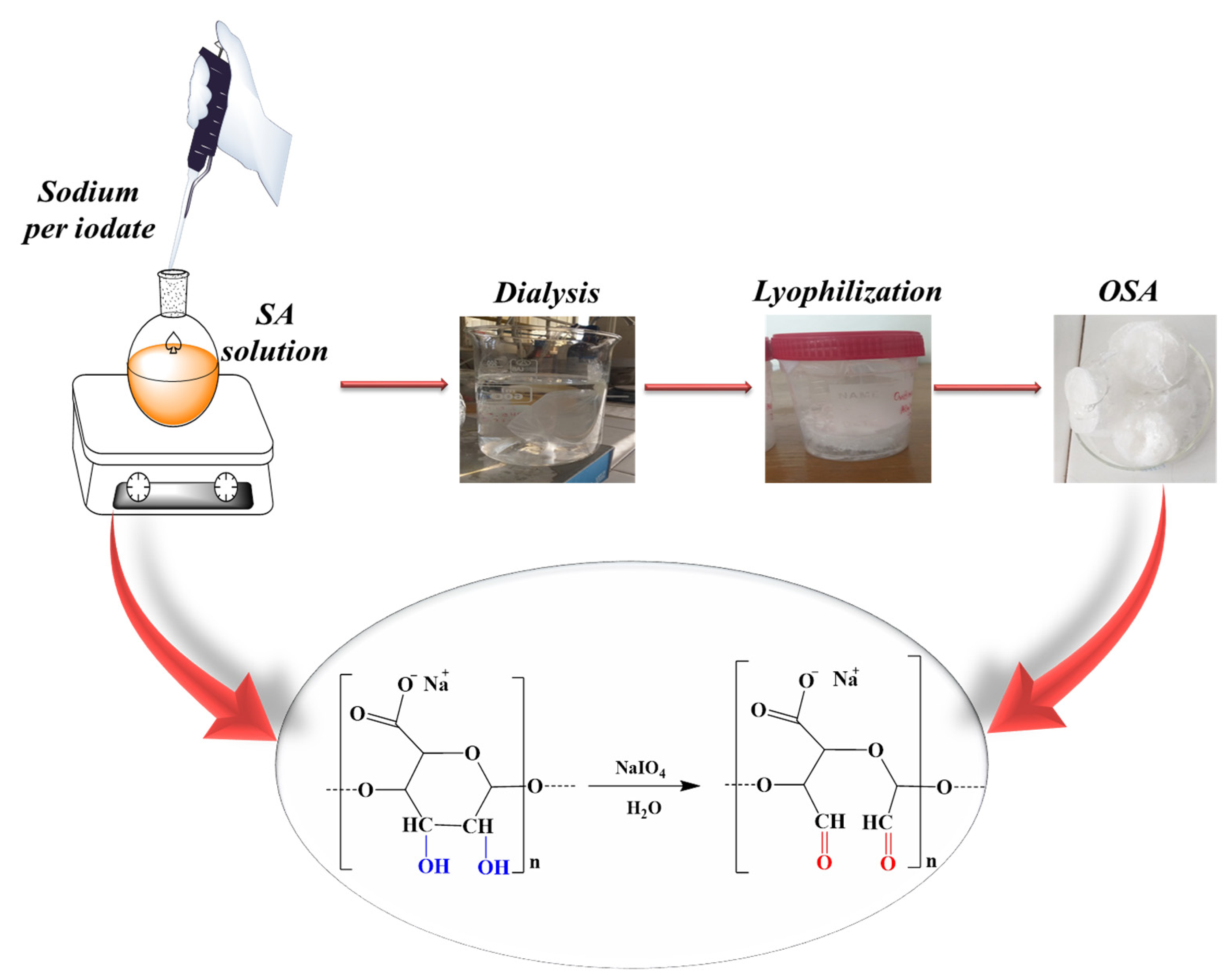 Polymers 16 03143 g001