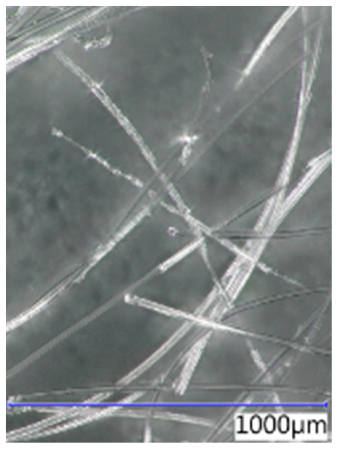 Polymers 16 03145 g007