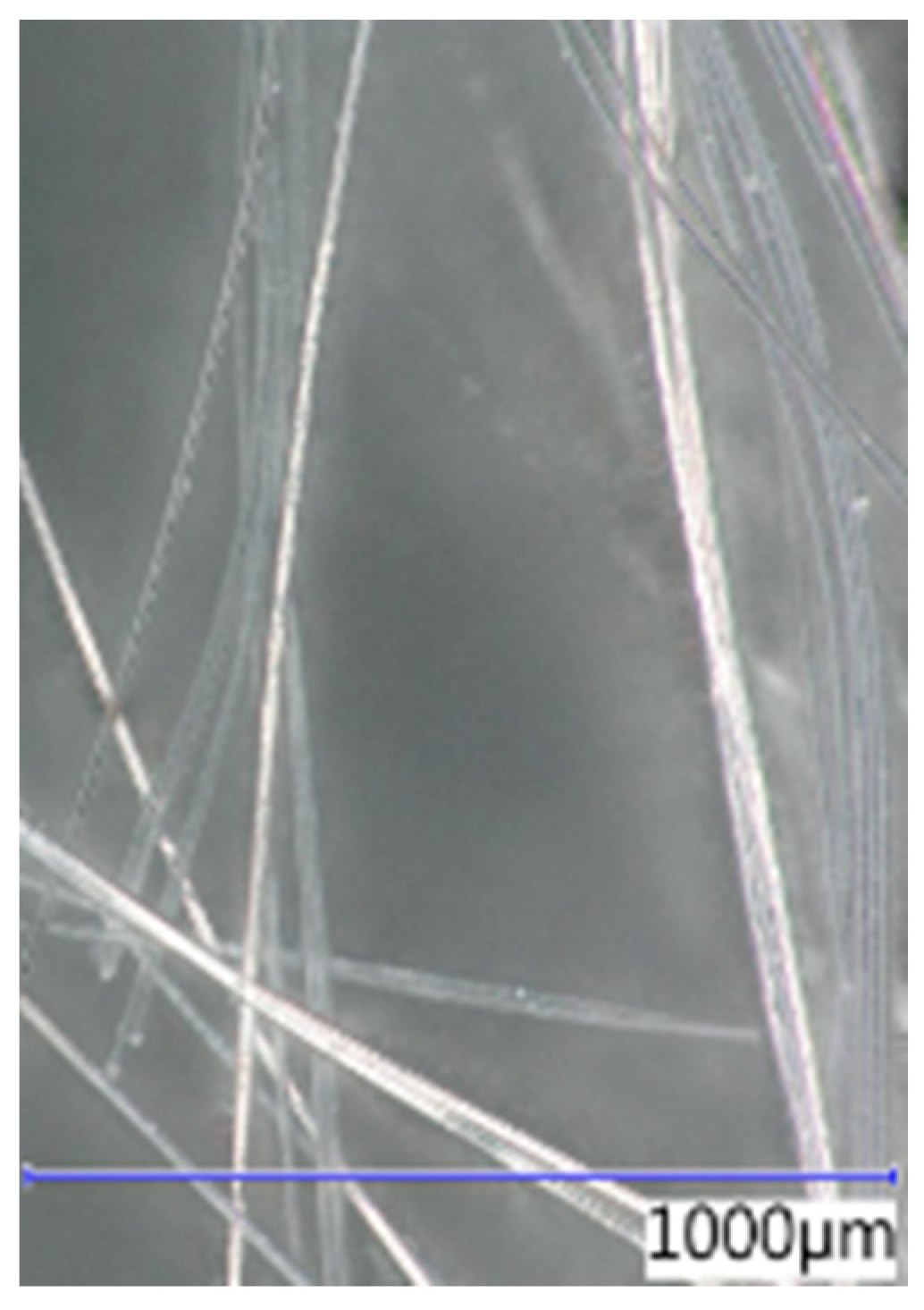 Polymers 16 03145 g008