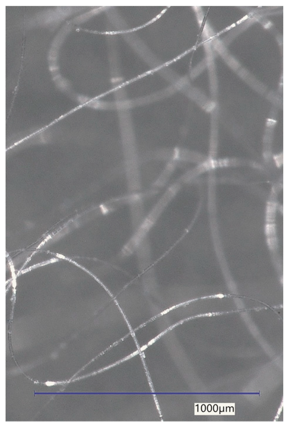 Polymers 16 03145 g010