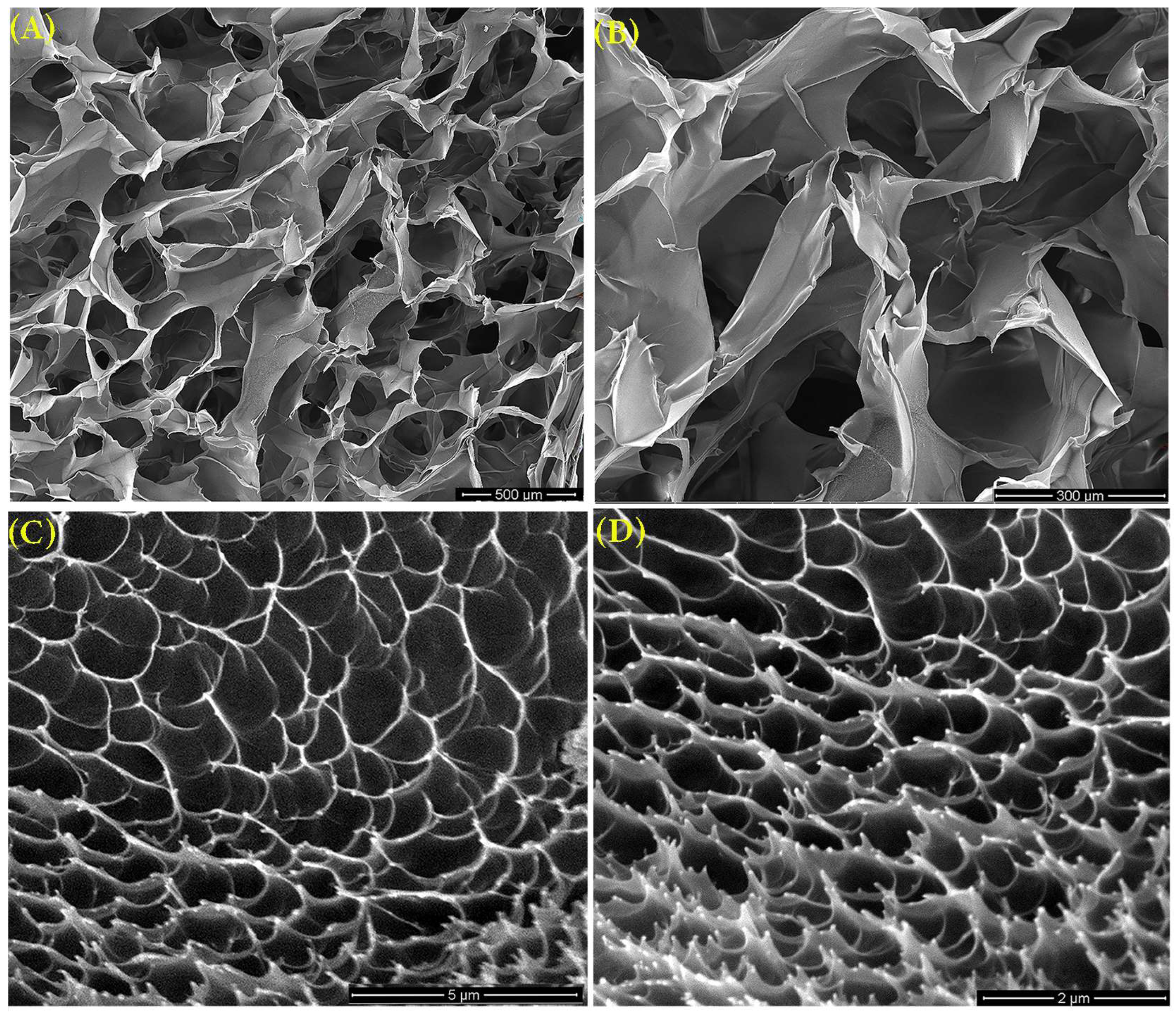 Polymers 16 03150 g010